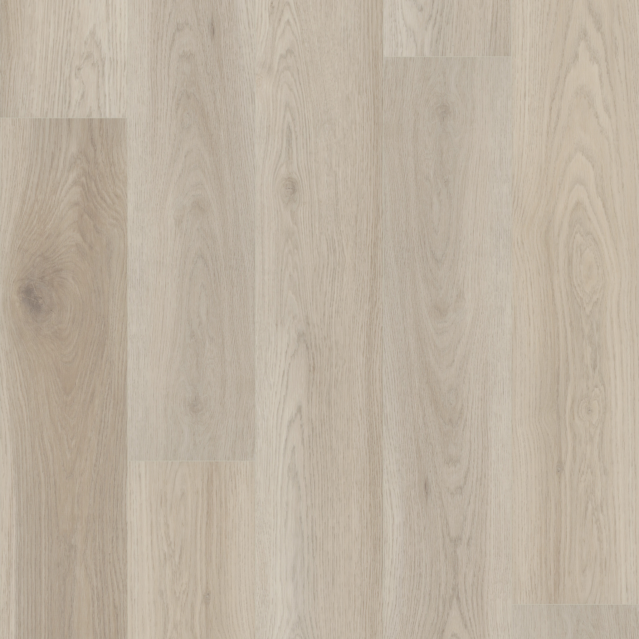 HOMEBOUND MARSHMALLOW MAIN