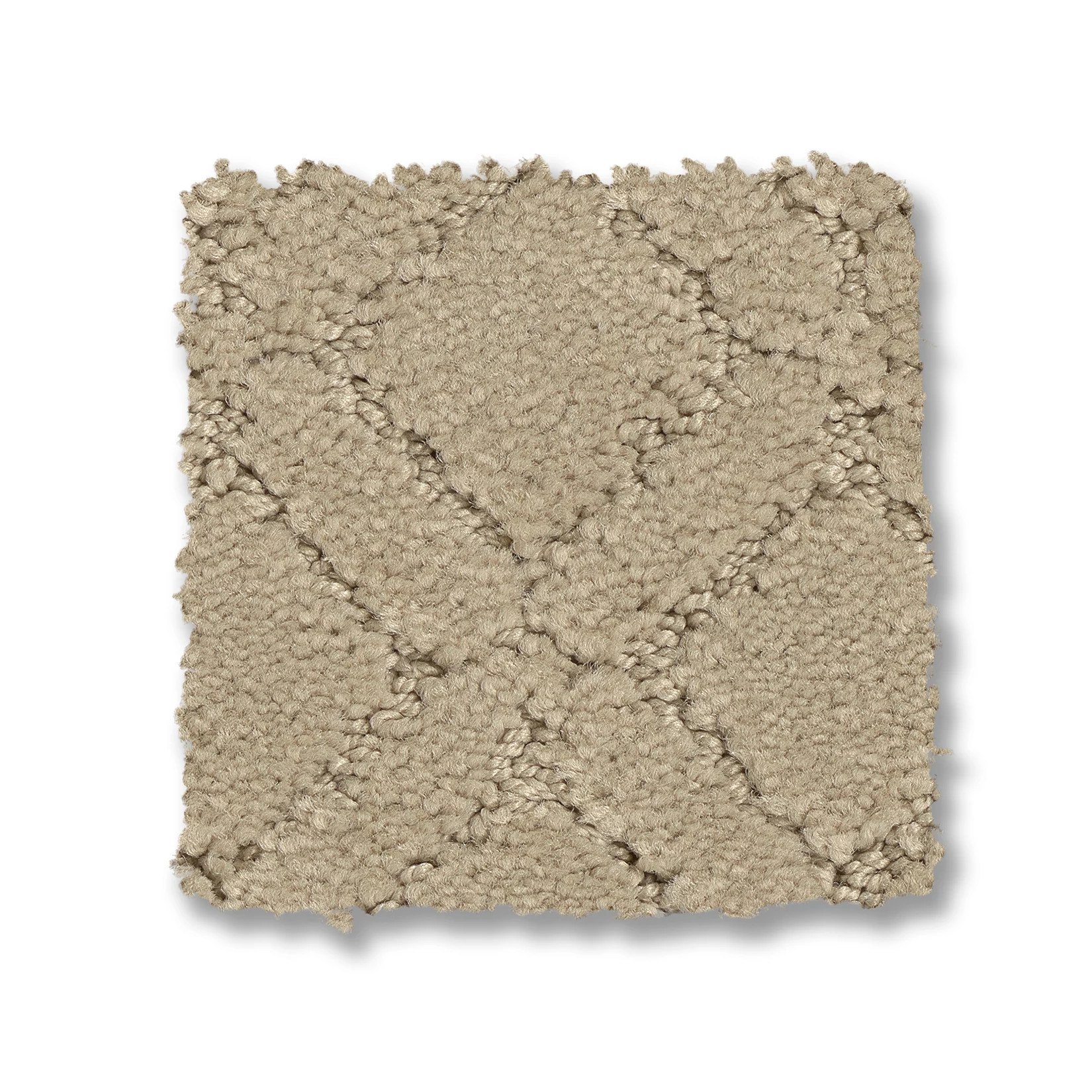 MUSE OAK RIDGE SWATCH