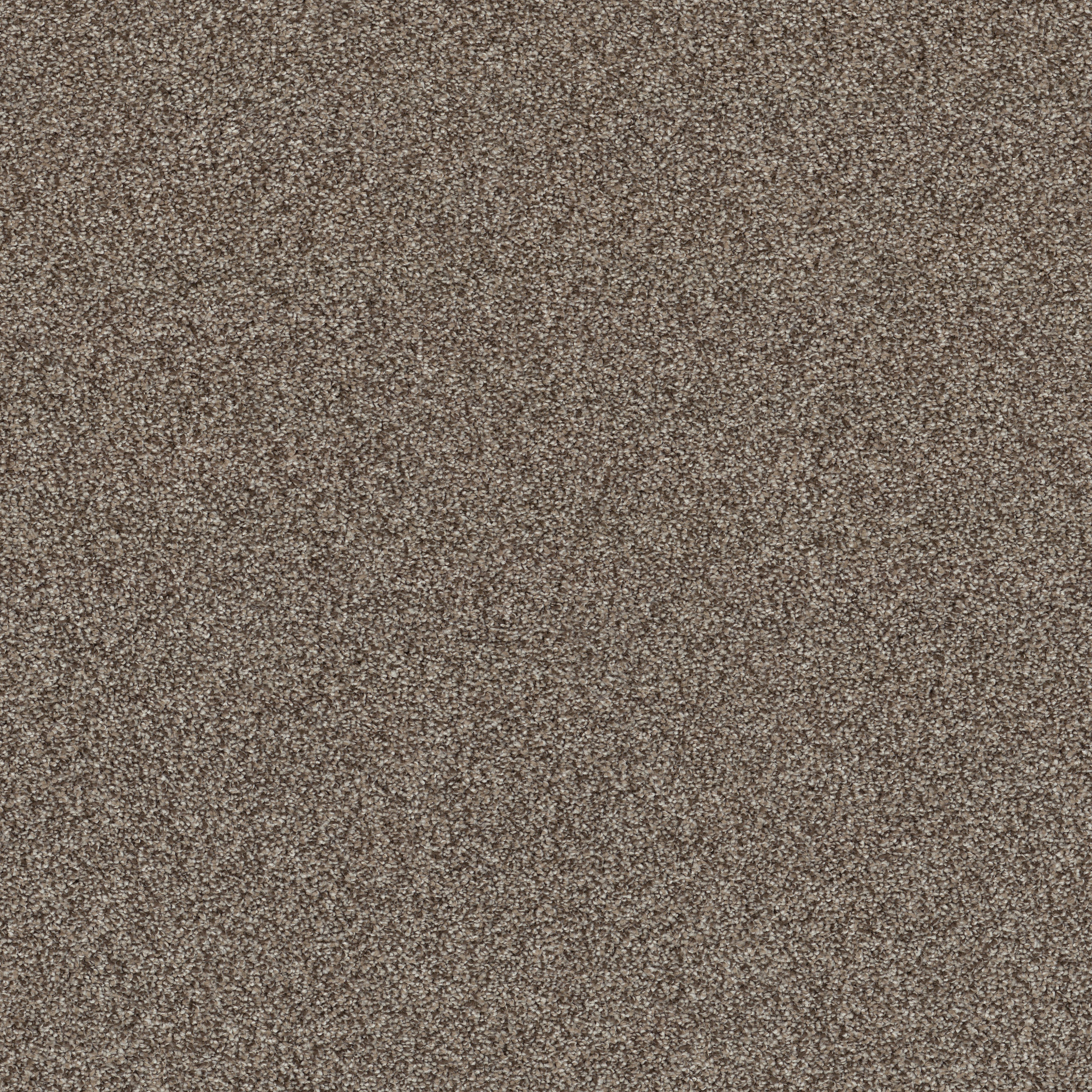 AFFIRMATION I HAVANA MAIN