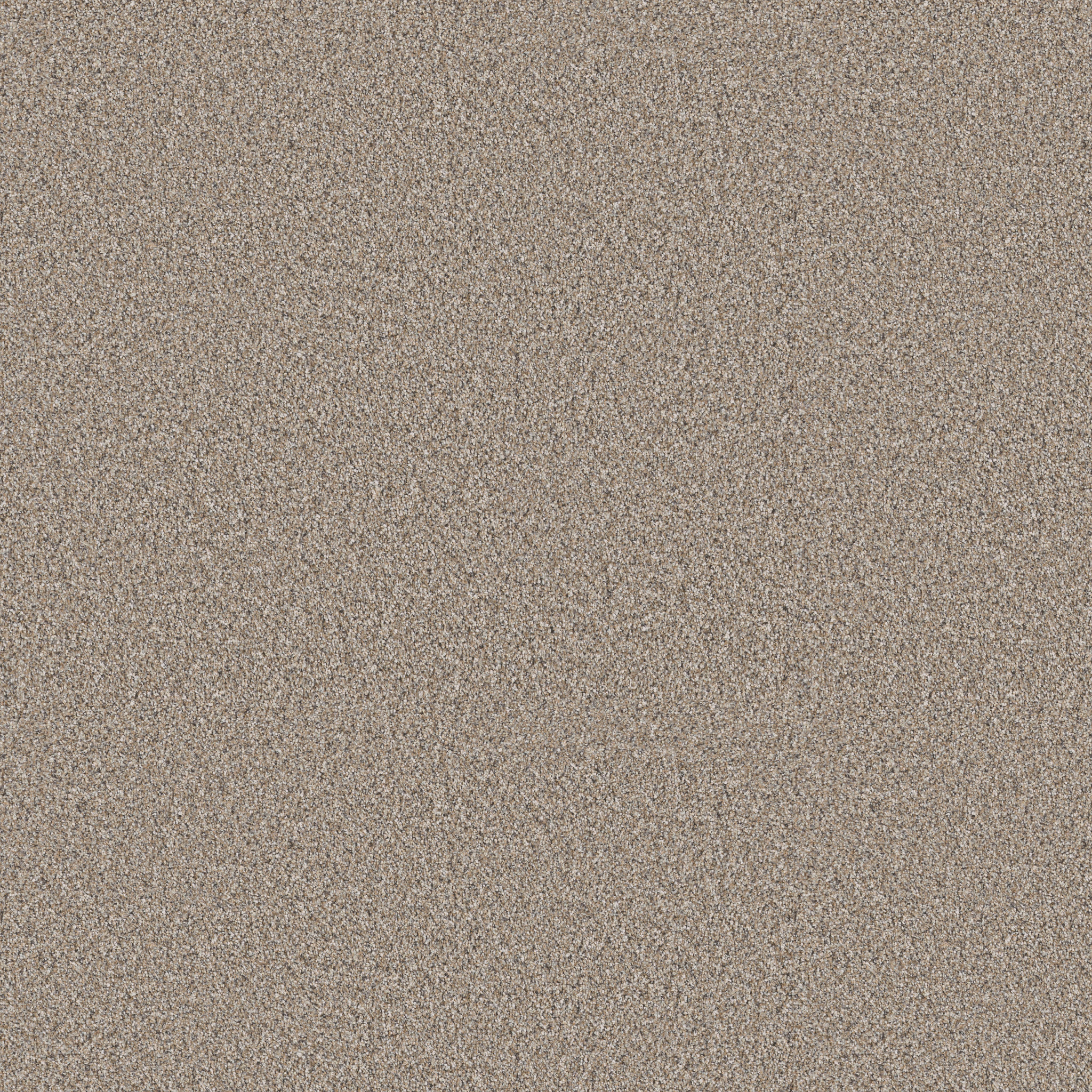 ELEVATED III NUTRIA MAIN