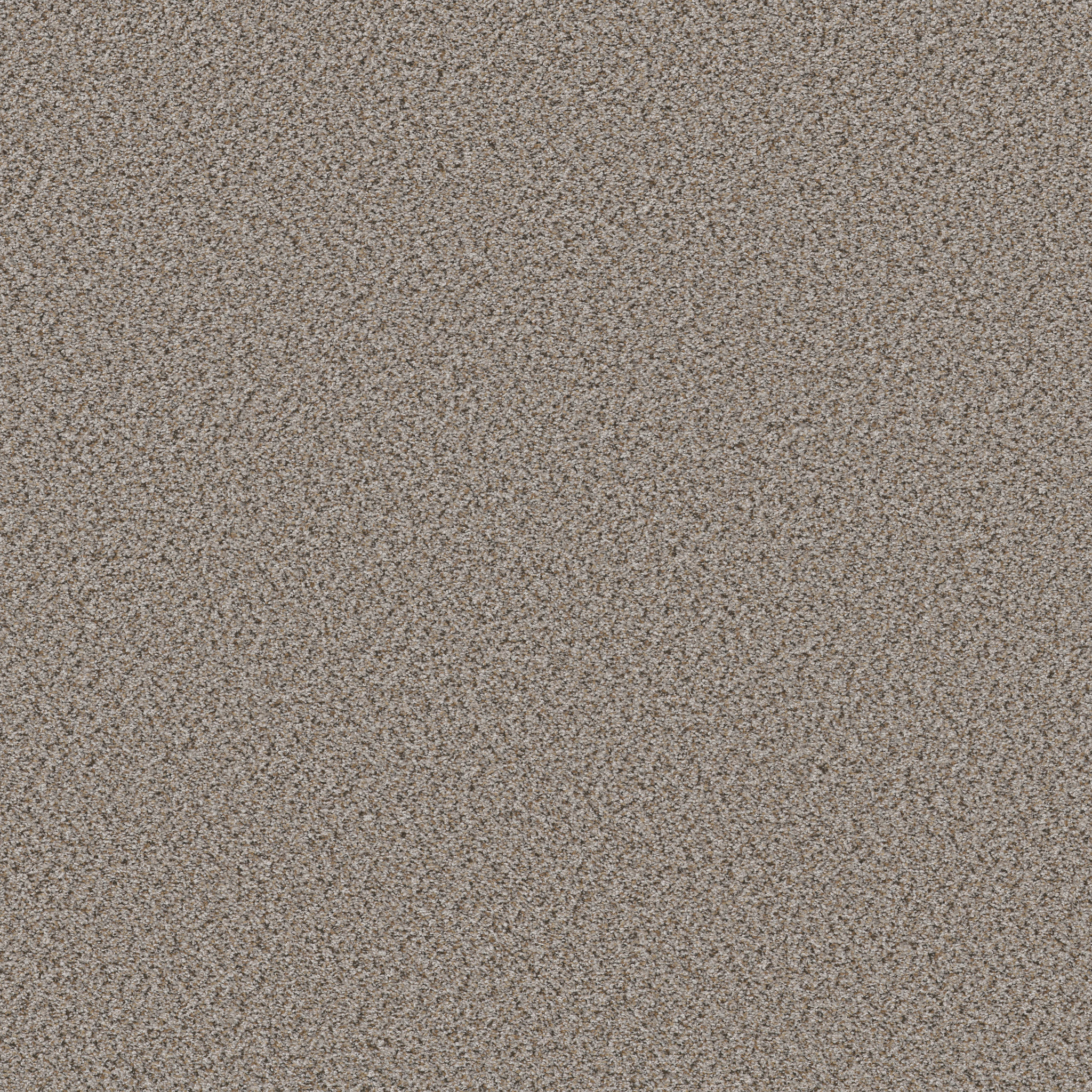 STRANDS OF NATURE II PENCIL SKETCH MAIN