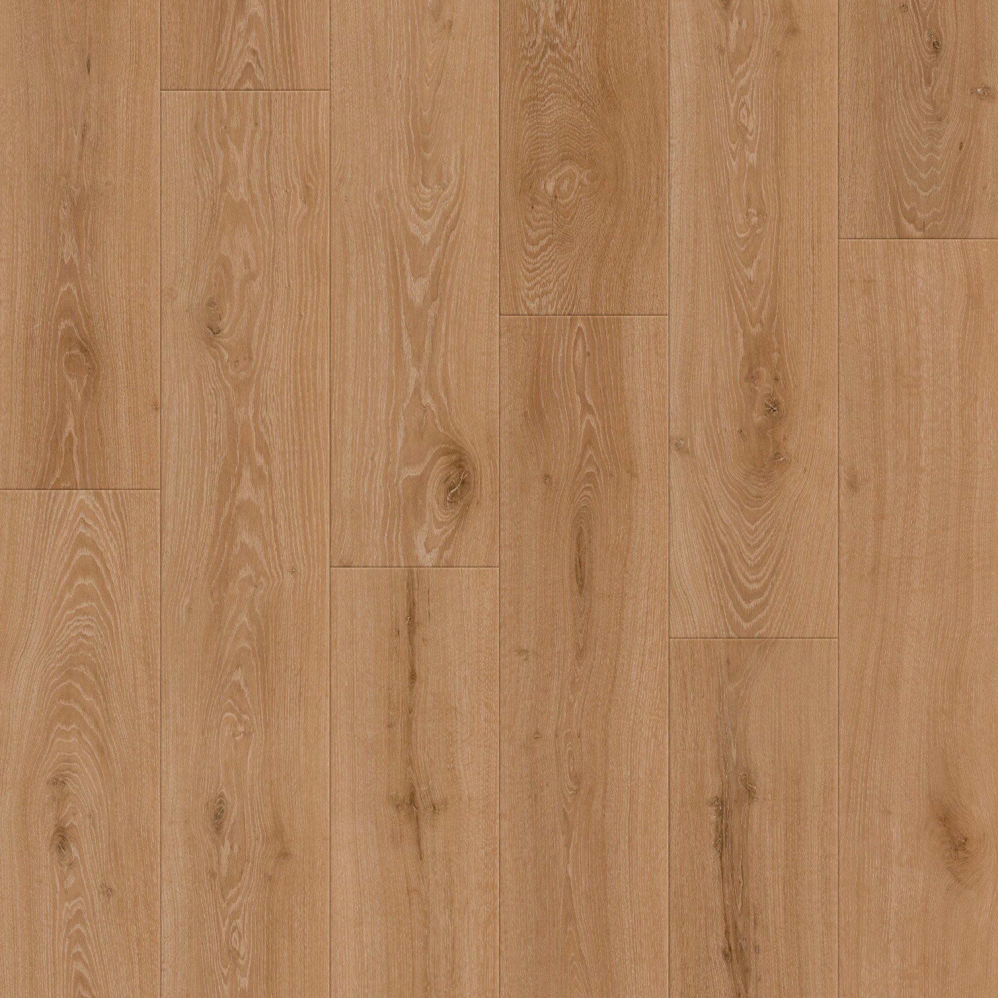 RETRO REVIVAL AUTUMN OAK MAIN