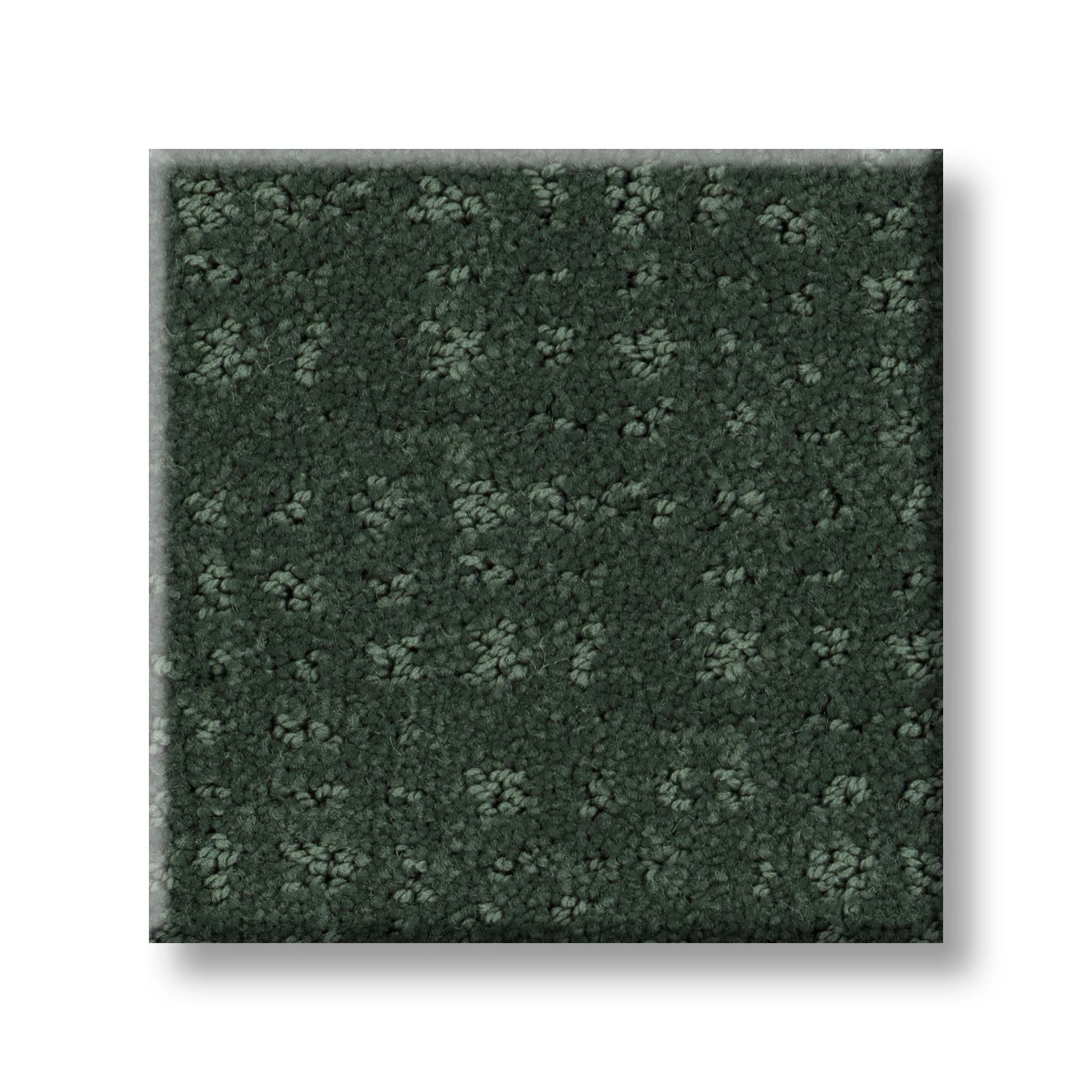 VIVID MEMORIES MAGNOLIA BRANCH SWATCH