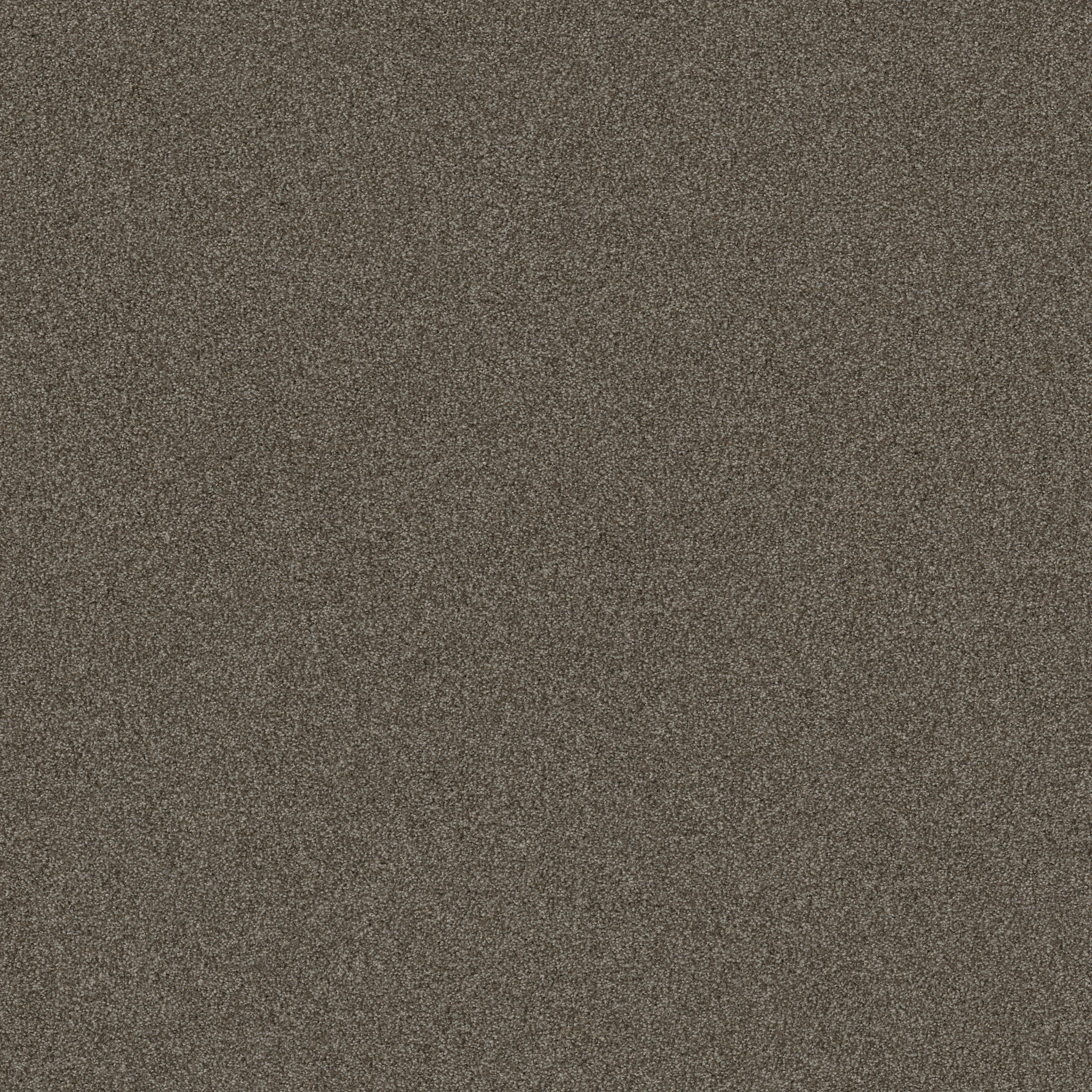 BEAUTIFULLY SIMPLE SADDLE MAIN