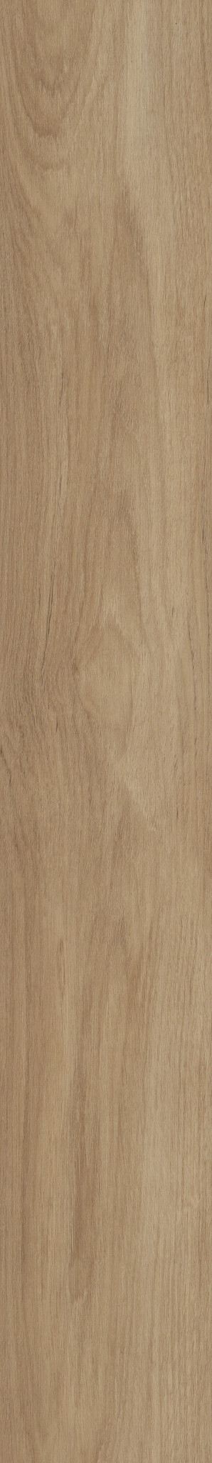 DISTINCTION PLUS HAZELNUT BROWN 1TO1
