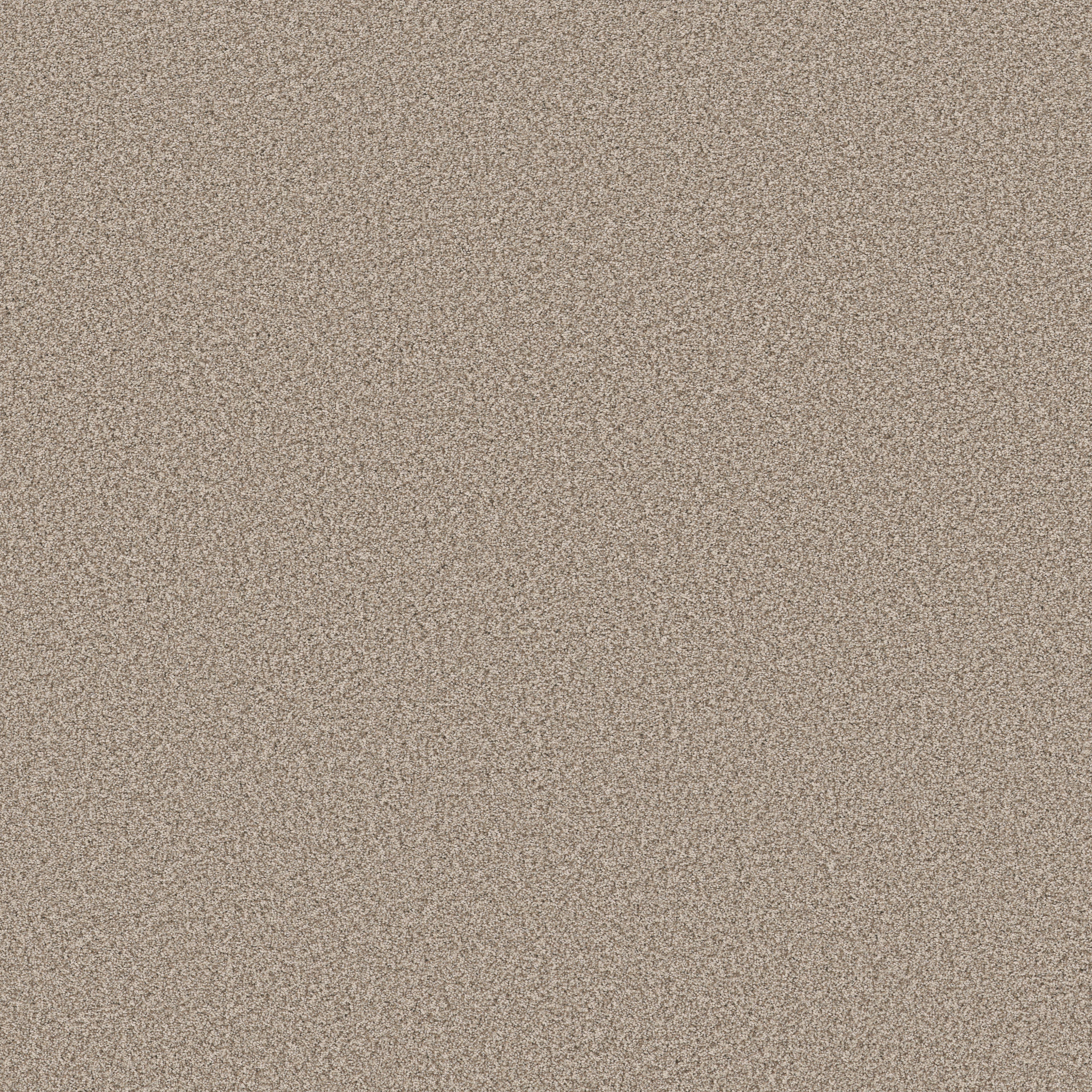 AVALON BAY WHITE MOCHA MAIN