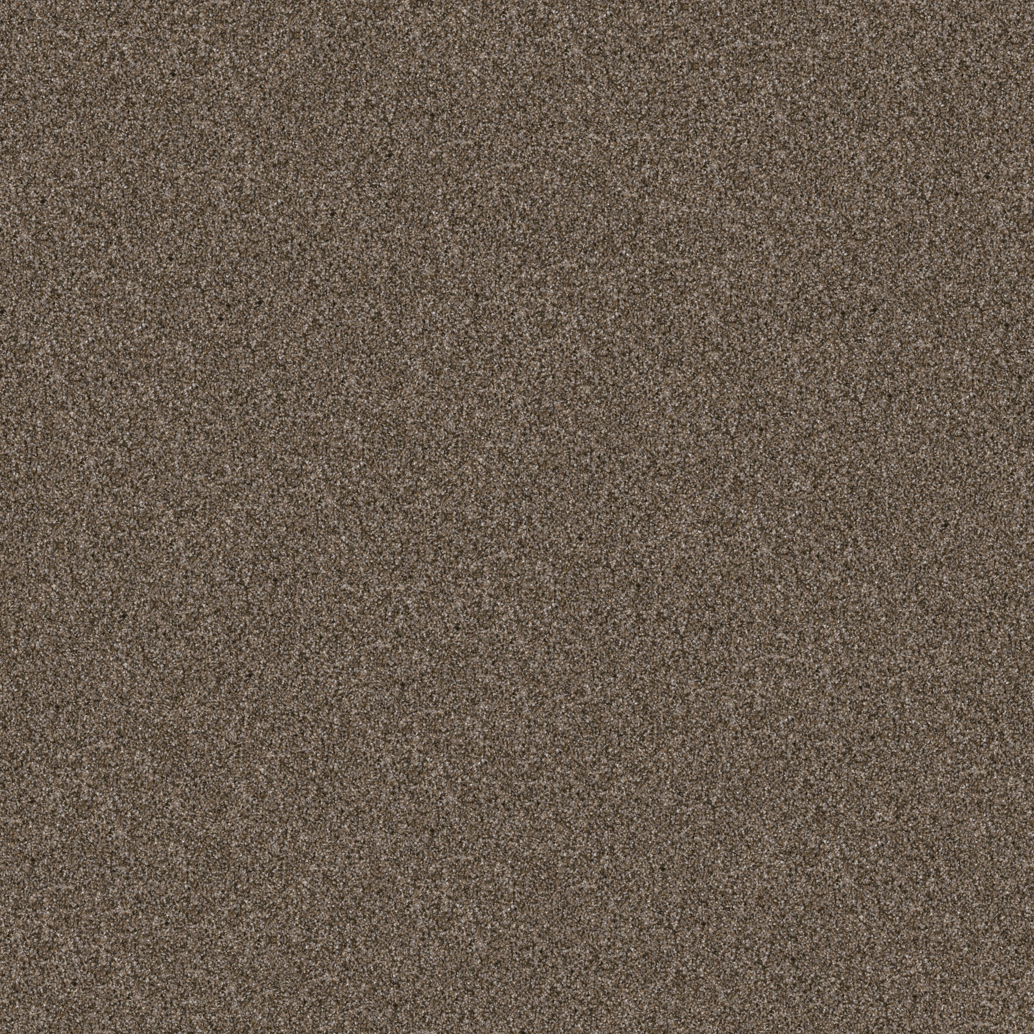 YES YOU CAN I 12' MISSION RIDGE MAIN