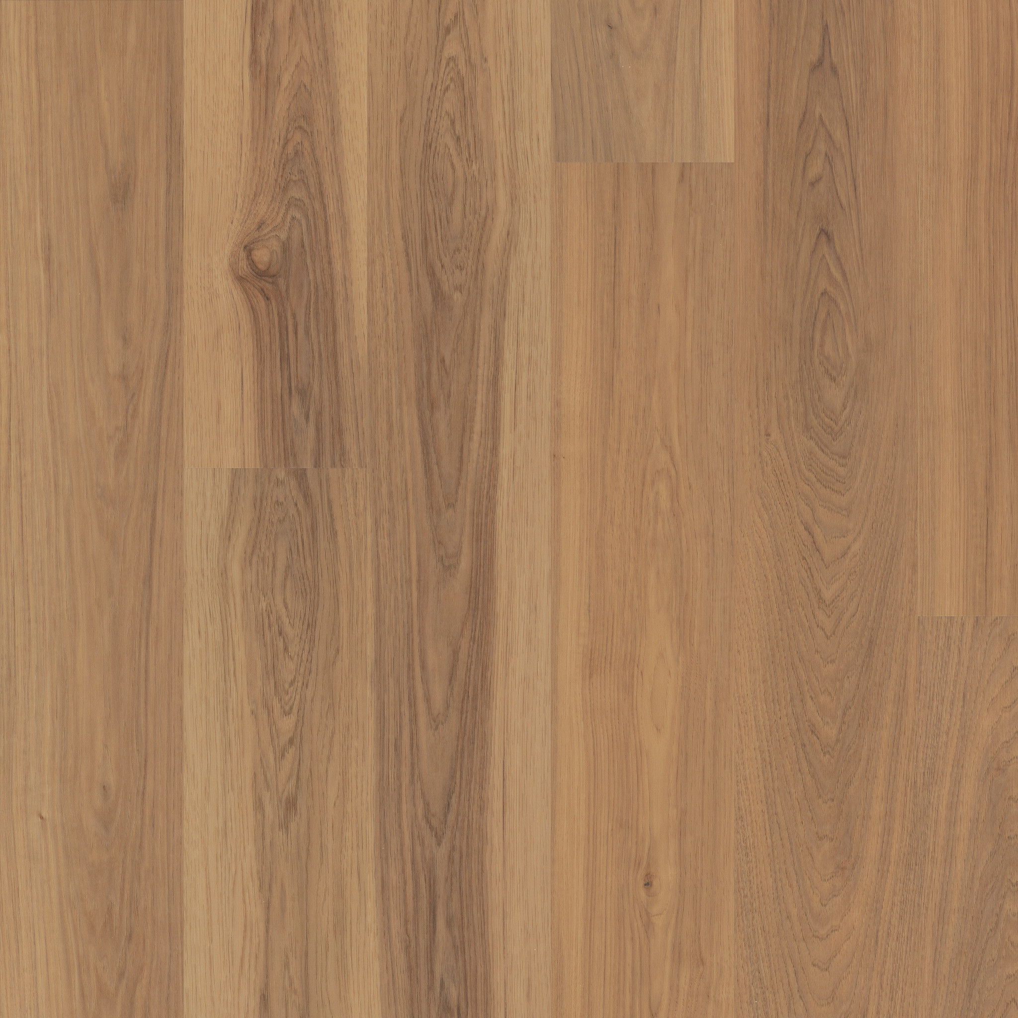 MALTESE SILICA HICKORY MAIN