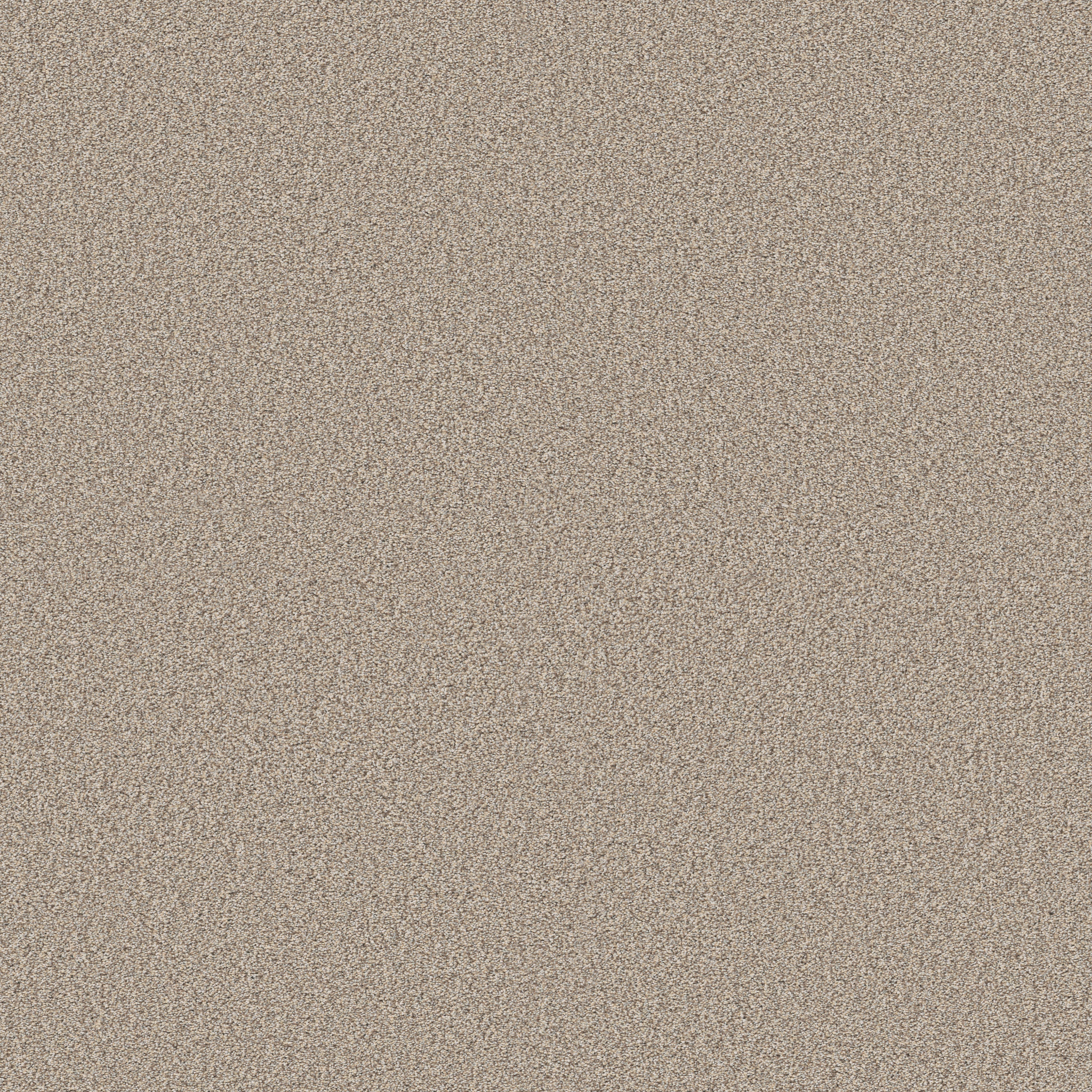 TIMELESS TONE MIRAGE MAIN