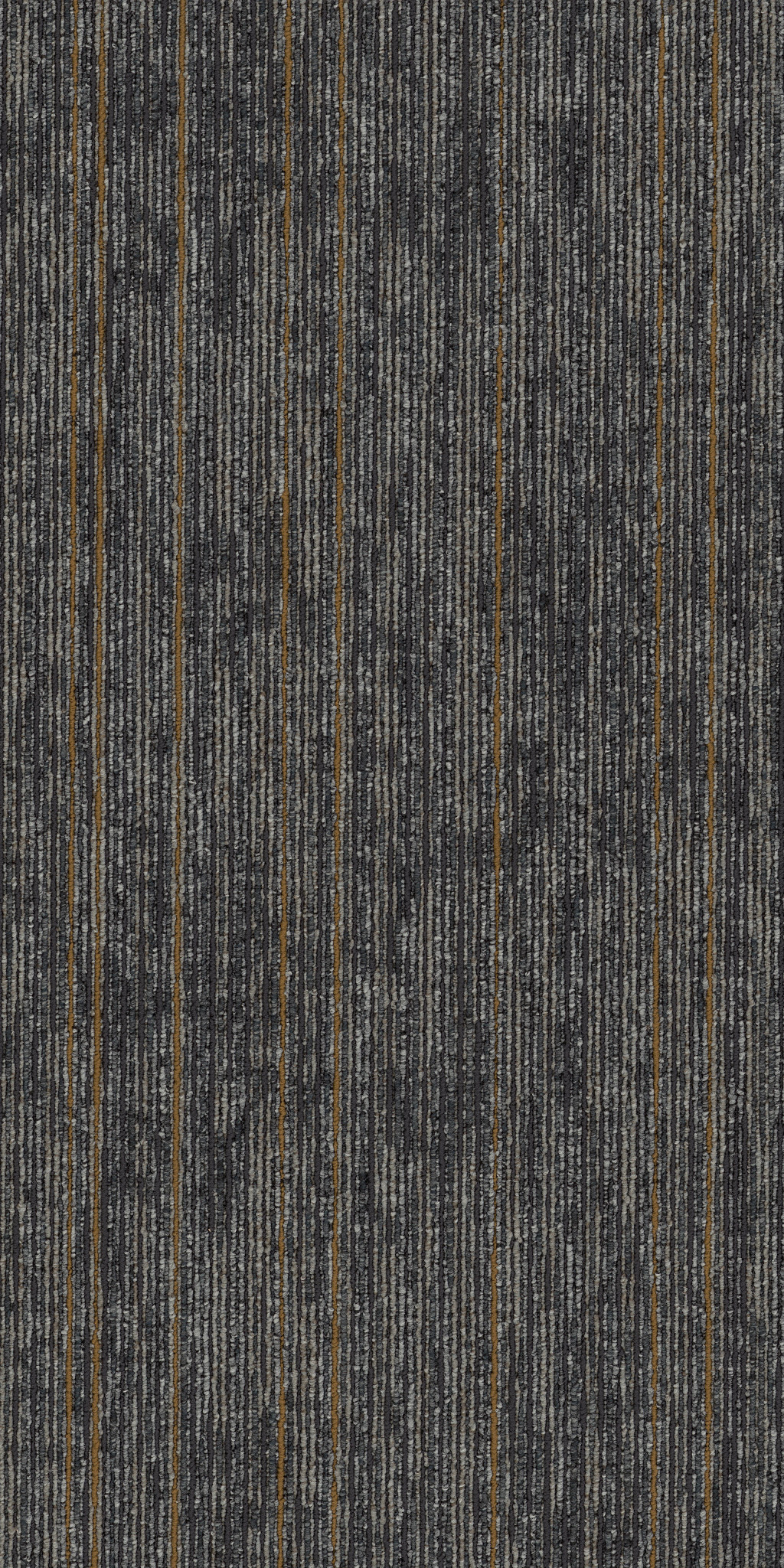 AIM-HIGH-54996-PERSIST-00502-main-image