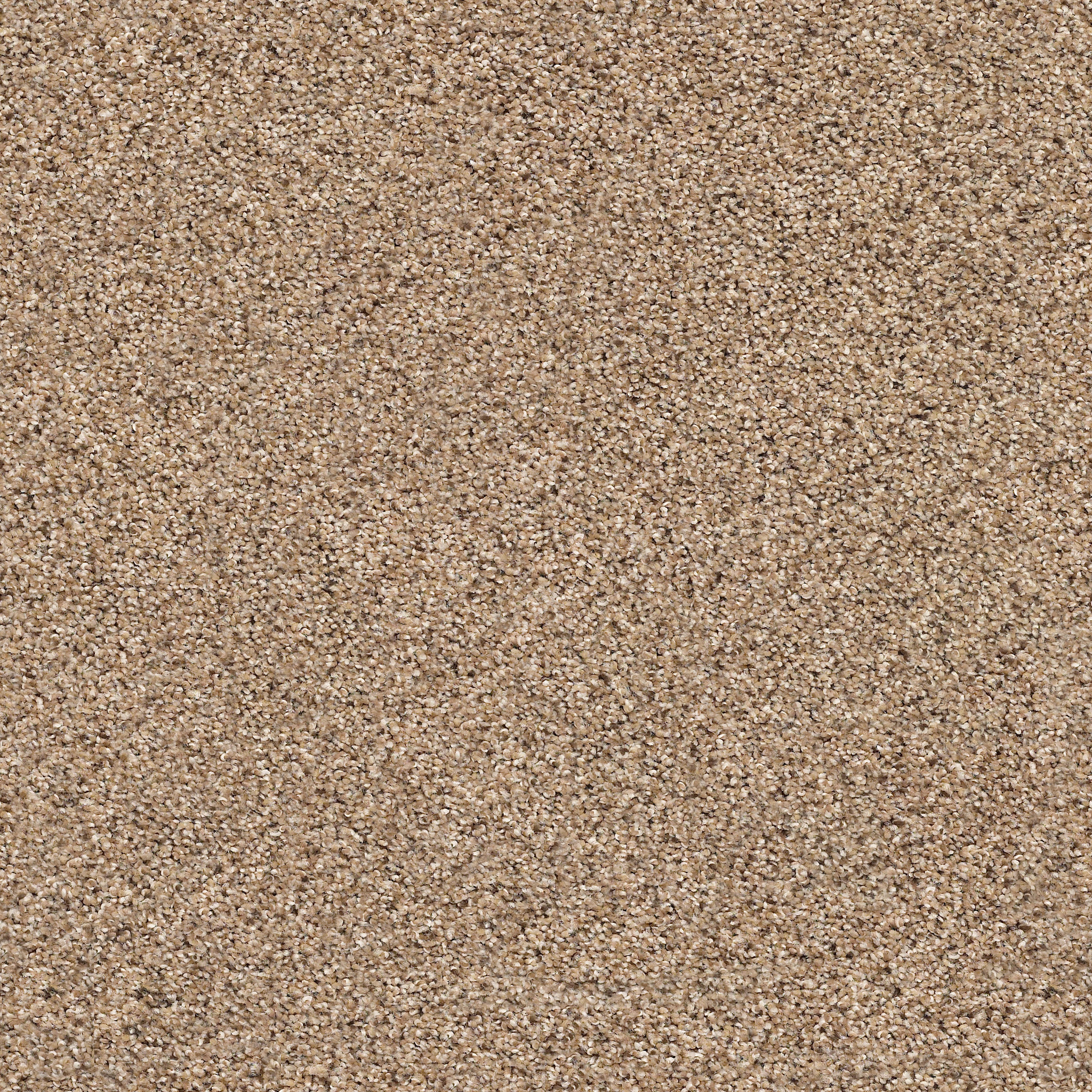 STRANDS OF NATURE III ARROWHEAD MAIN