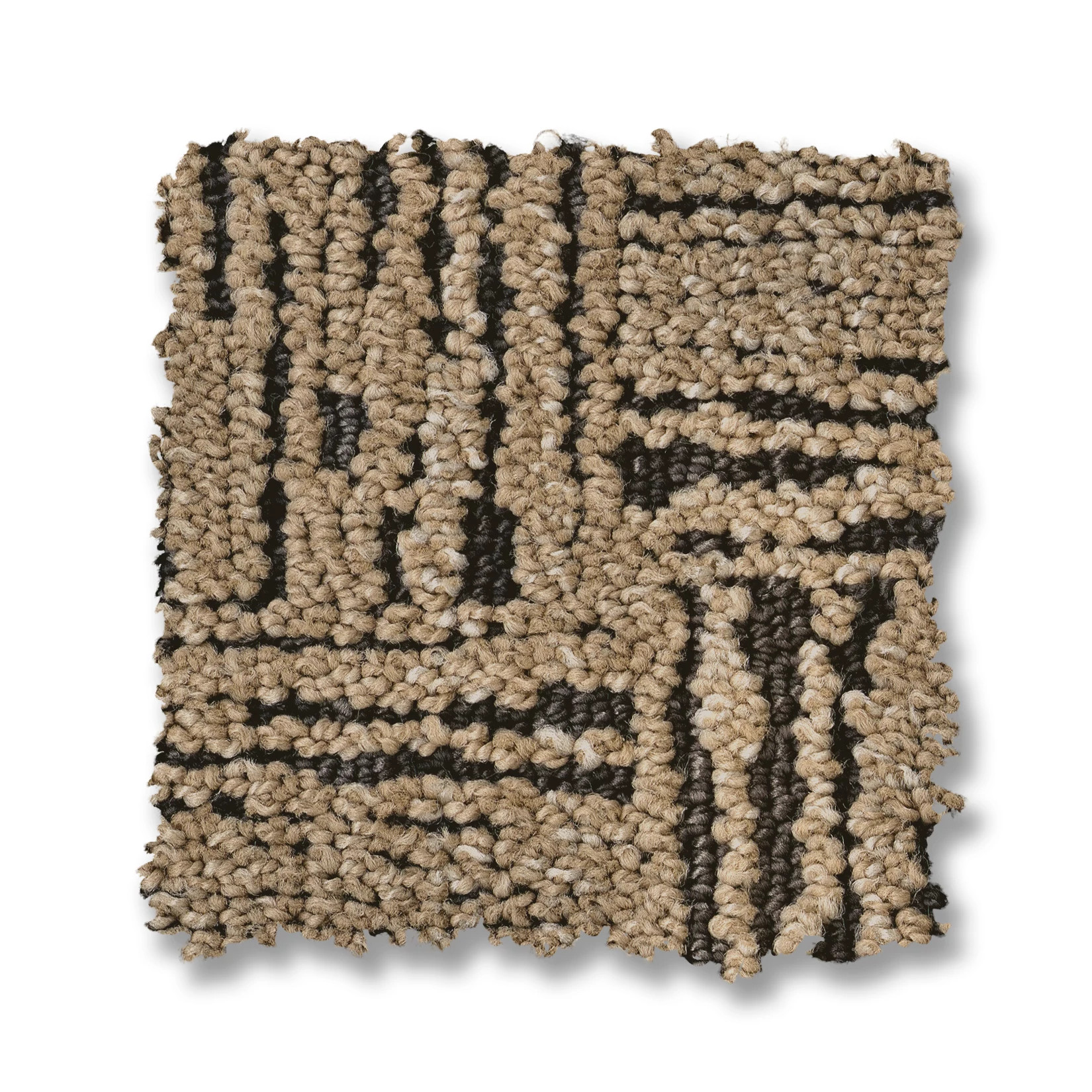 MODERNE PALACE SWATCH