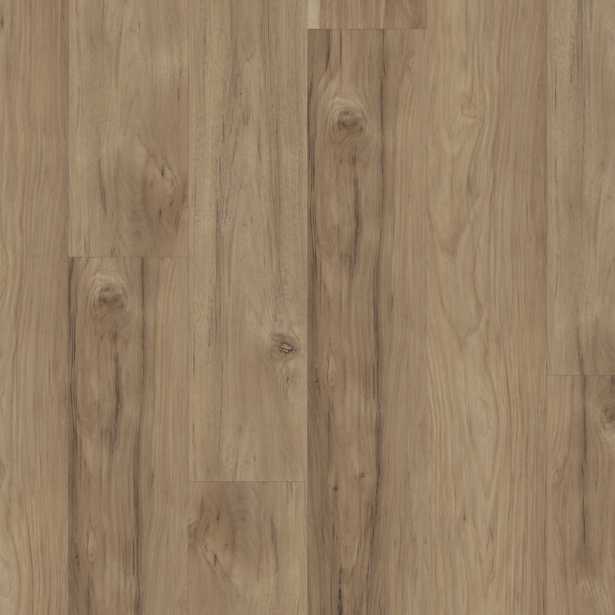 IGNITE IRON FOG MAIN