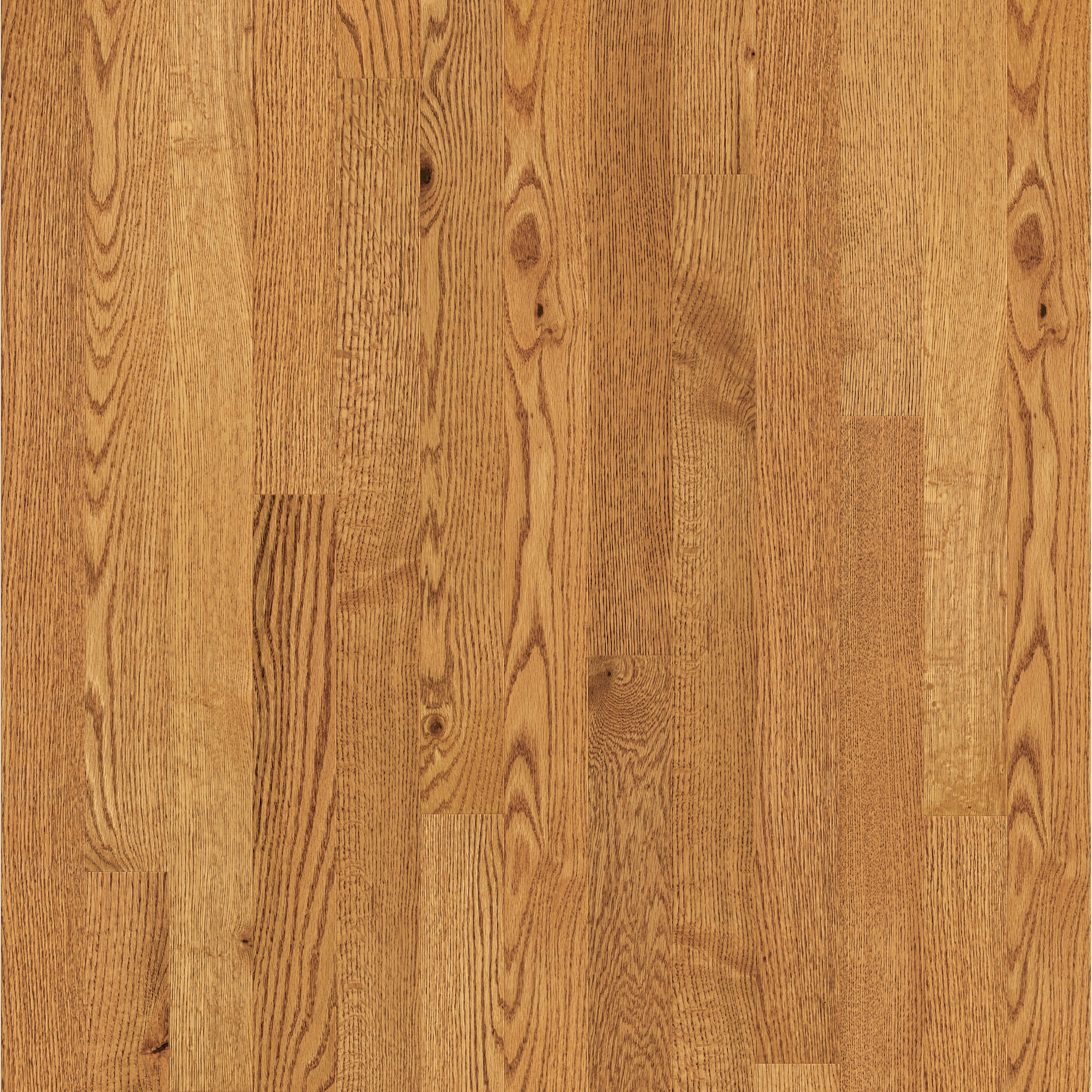 LINEAGE OAK 3" HONEY MAIN