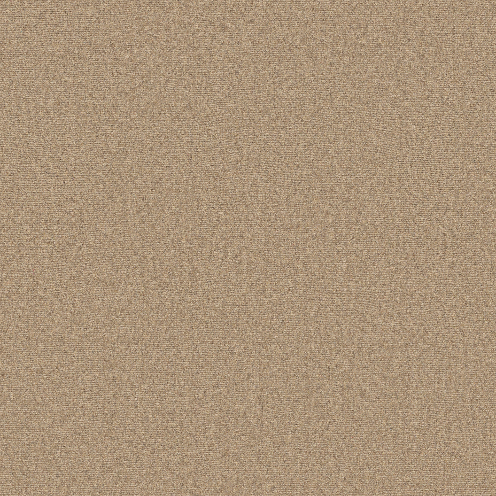 FINESSE SUNWASHED MAIN