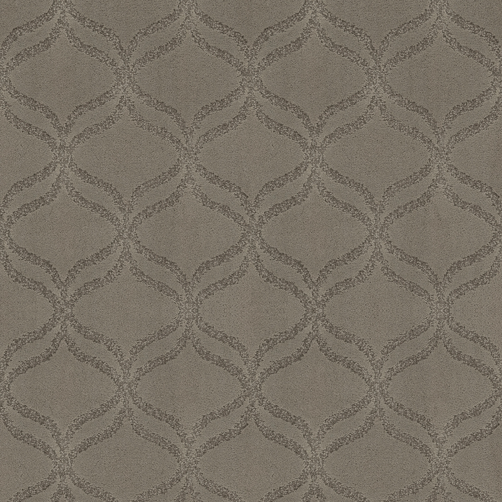 APPRECIATION LADY IN GREY MAIN