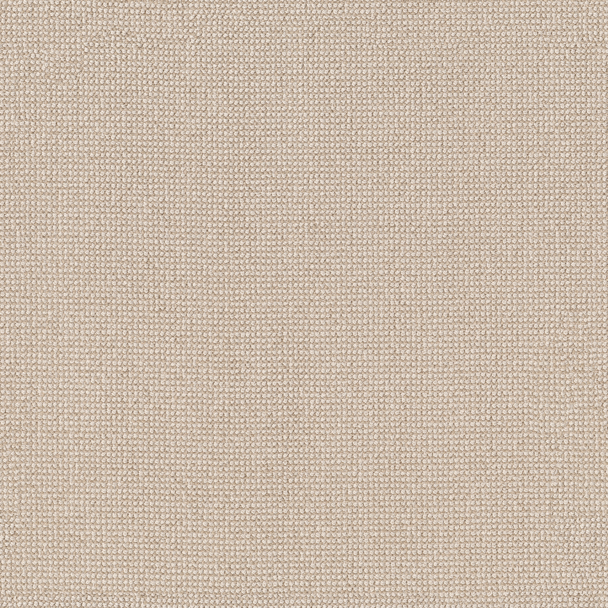 ALLURING PAPYRUS MAIN