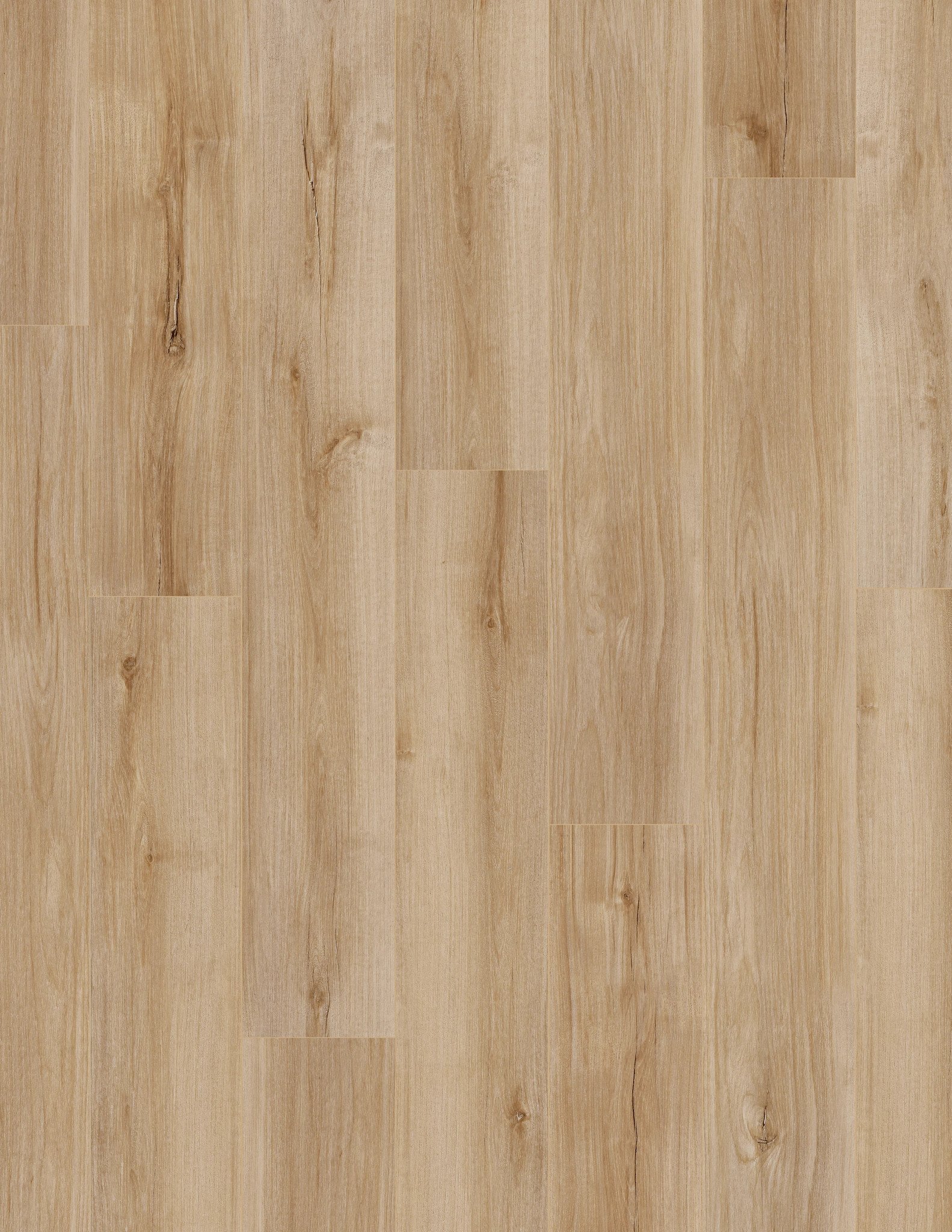 CORETEC PRO ENHANCED VV492 LUCENT OAK MAIN