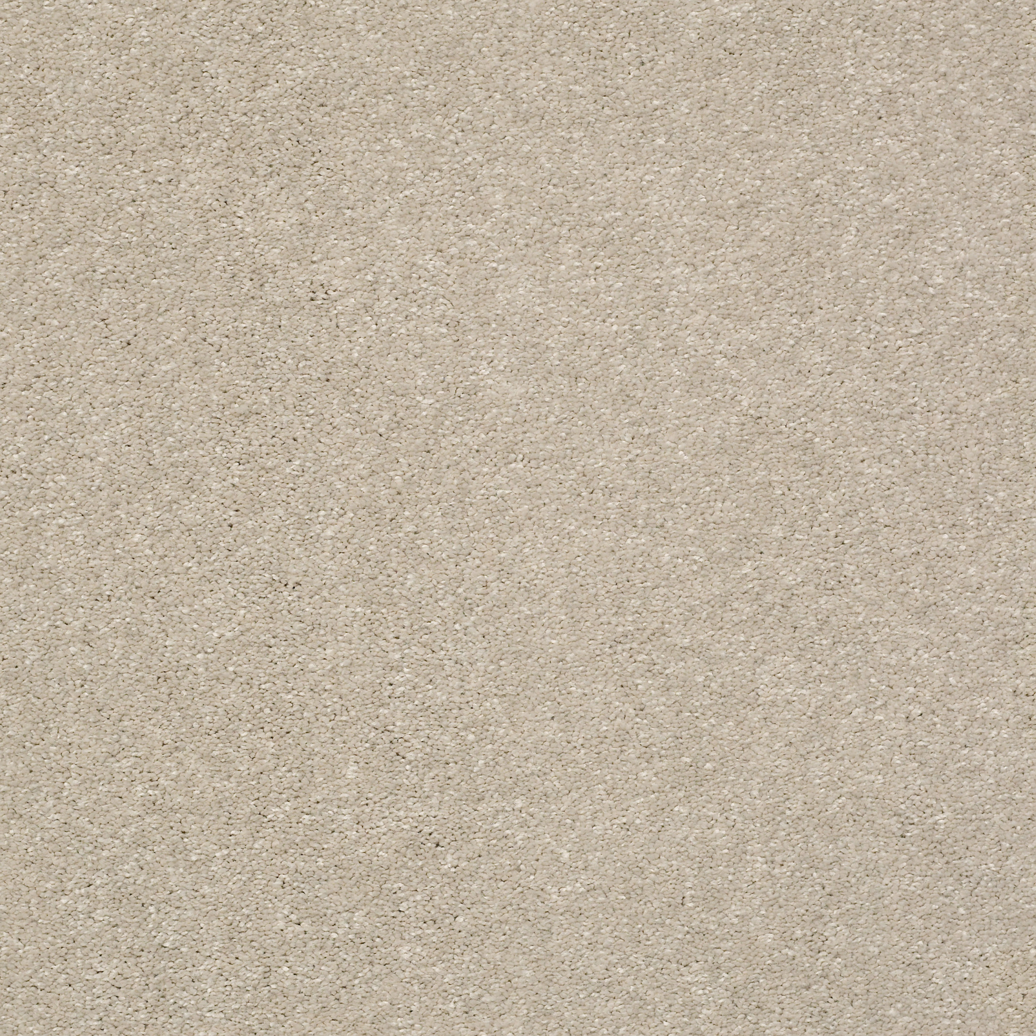 BASIC RULES ARCTIC FOX MAIN