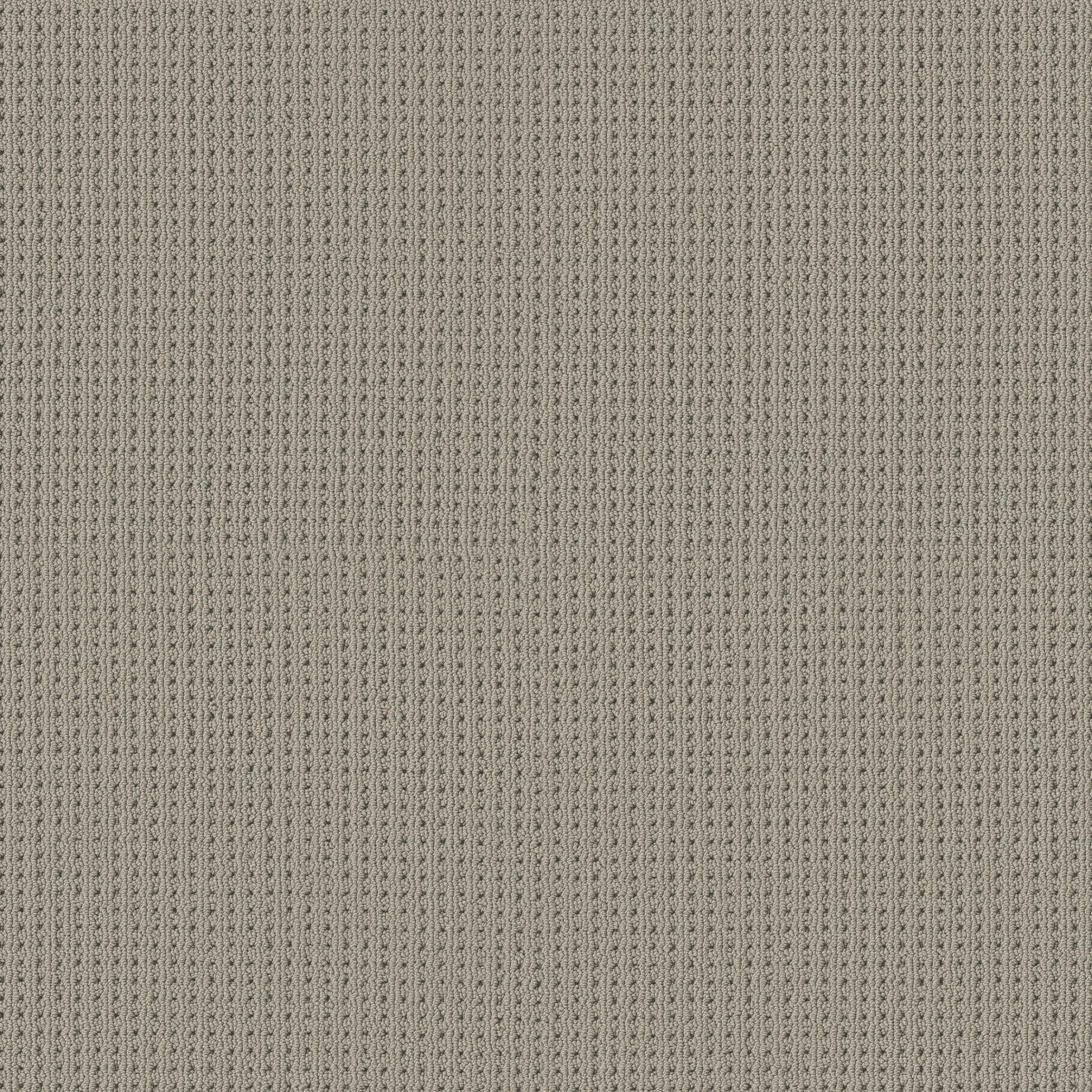 SAN ANTONIO HUSKIE MAIN