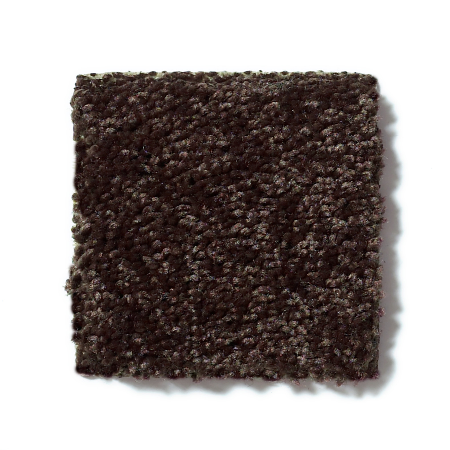 ROYAL PORTRUSH II 15 COFFEE BEAN SWATCH