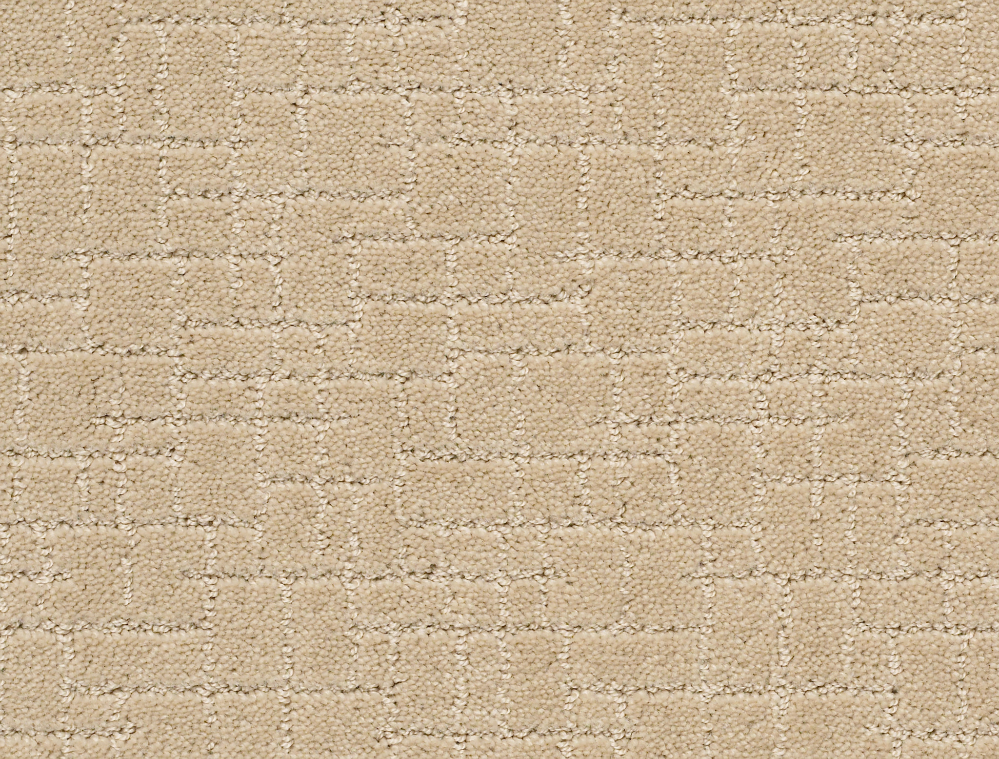 FAUX PAW HAZELNUT MAIN