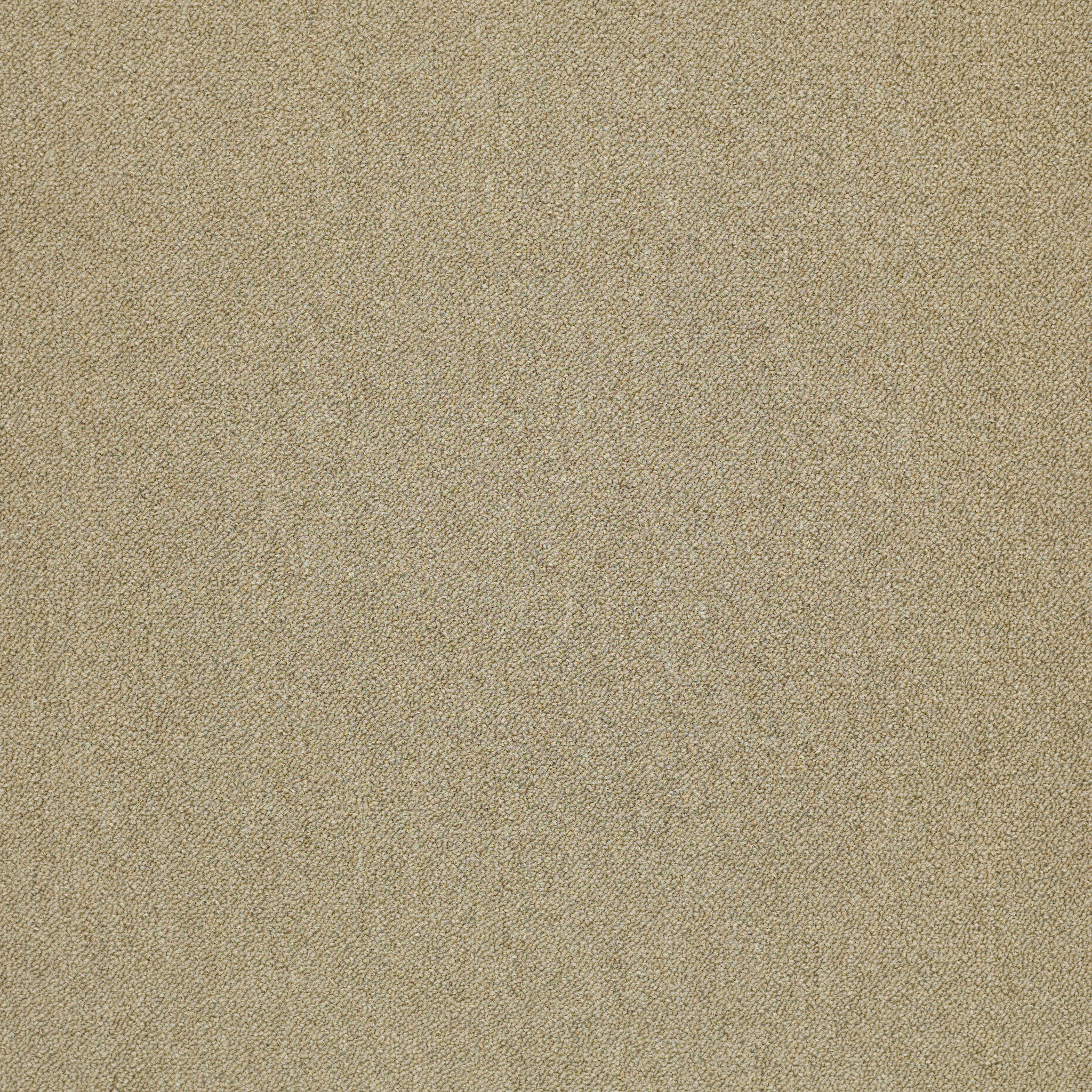 COUNTERPART-54816-COPY-CAT-16200-main-image