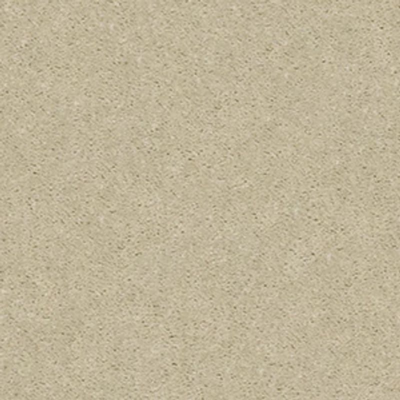 This Is It Broadloom Carpet in Ladys Choice color, textured cut pile, 12ft width, made from 100% nylon