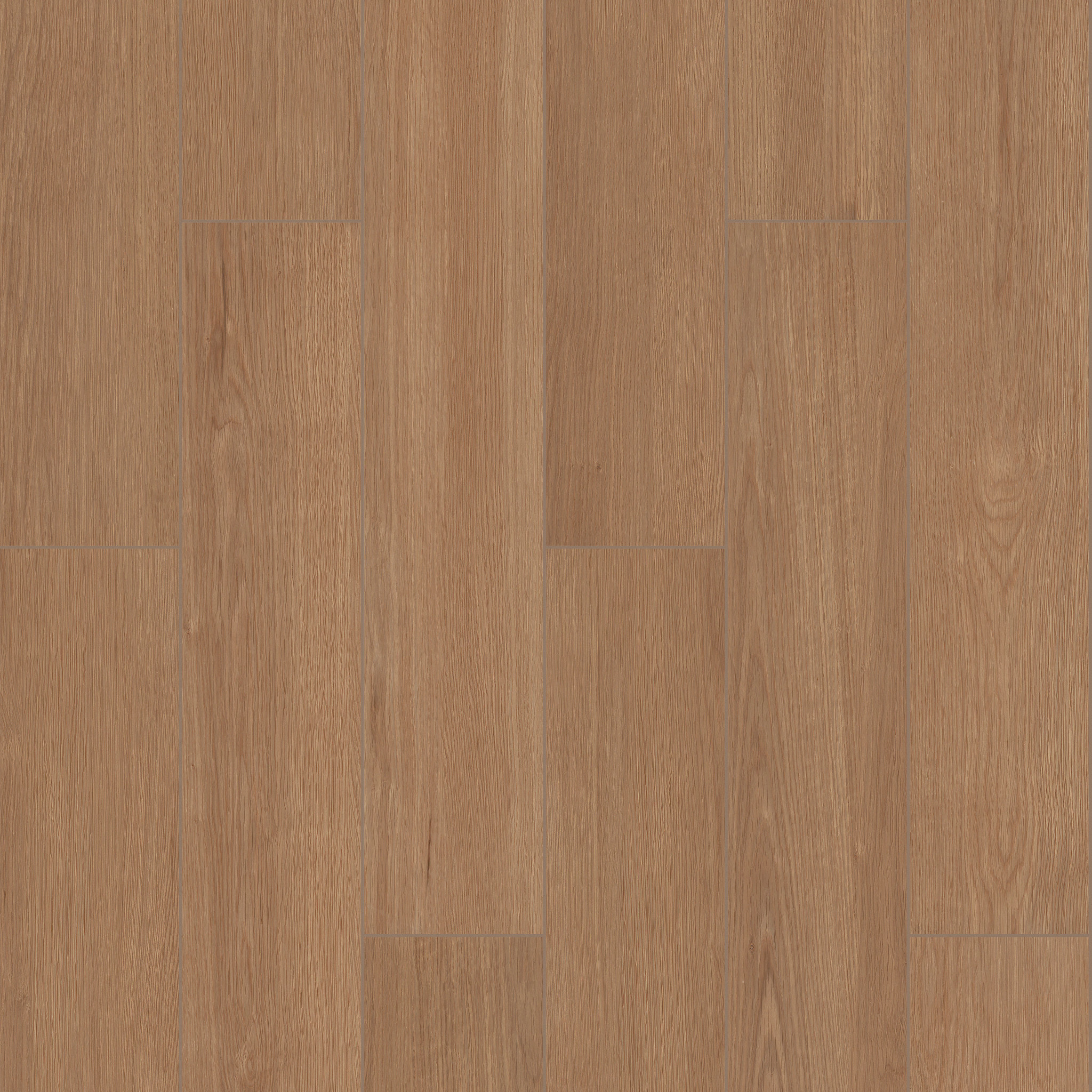 OVERLAND 8X48 SAVANNA MAIN