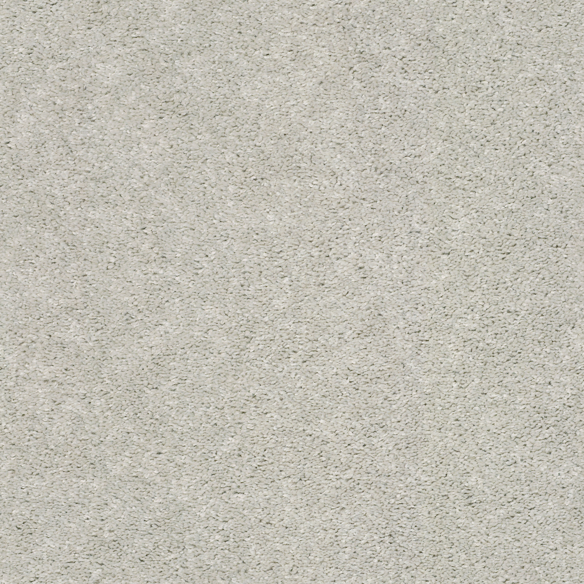 AFTER ALL II CRUSHED SHELL MAIN