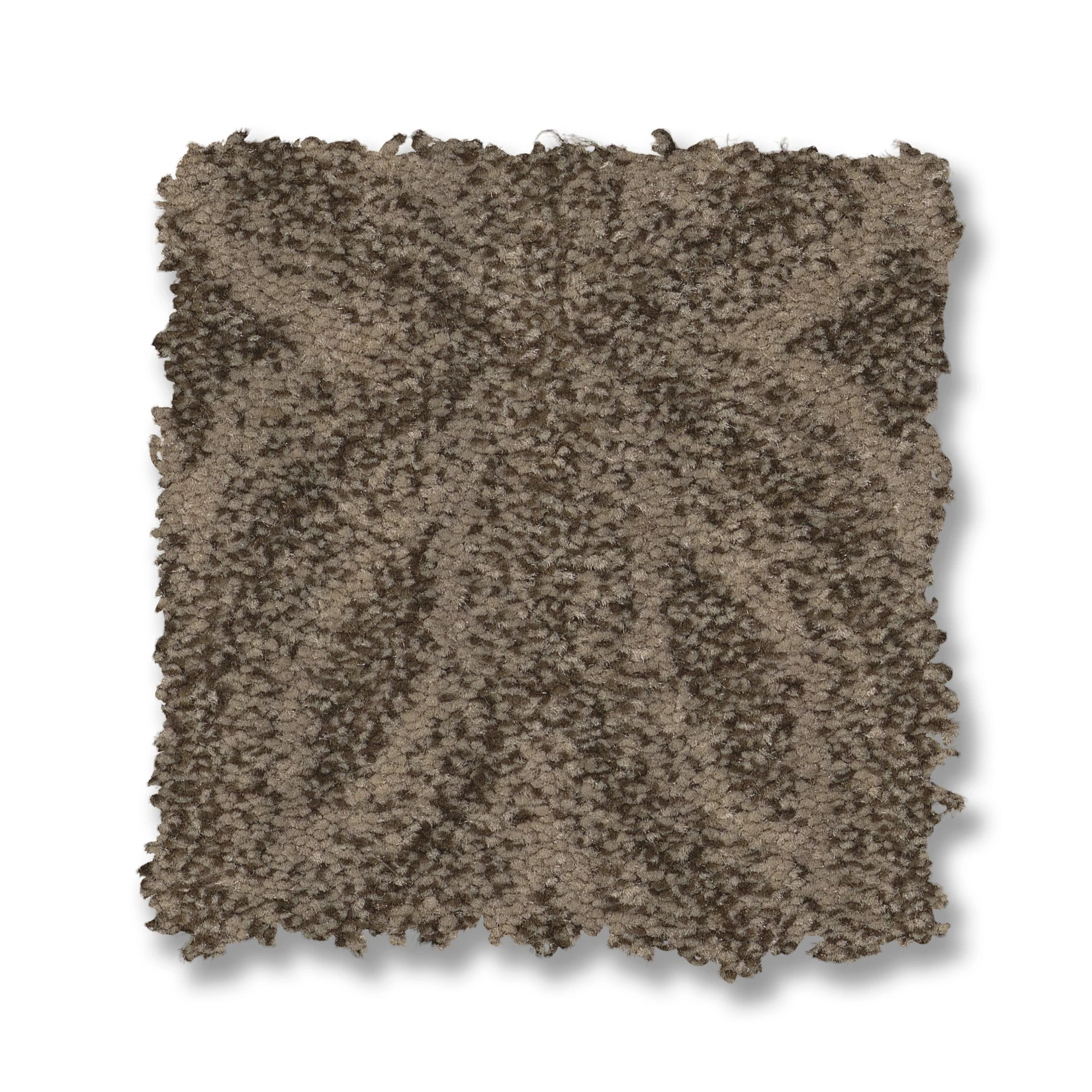 ENLIGHTENED ARROWHEAD SWATCH