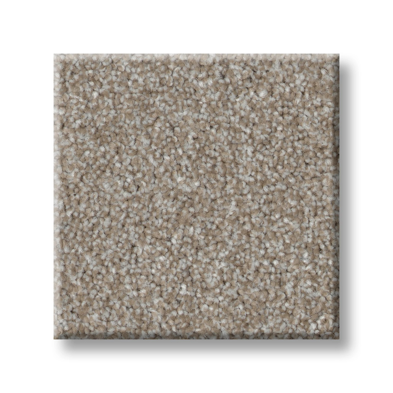 GOOD MOVE II WINTER DUNES SWATCH