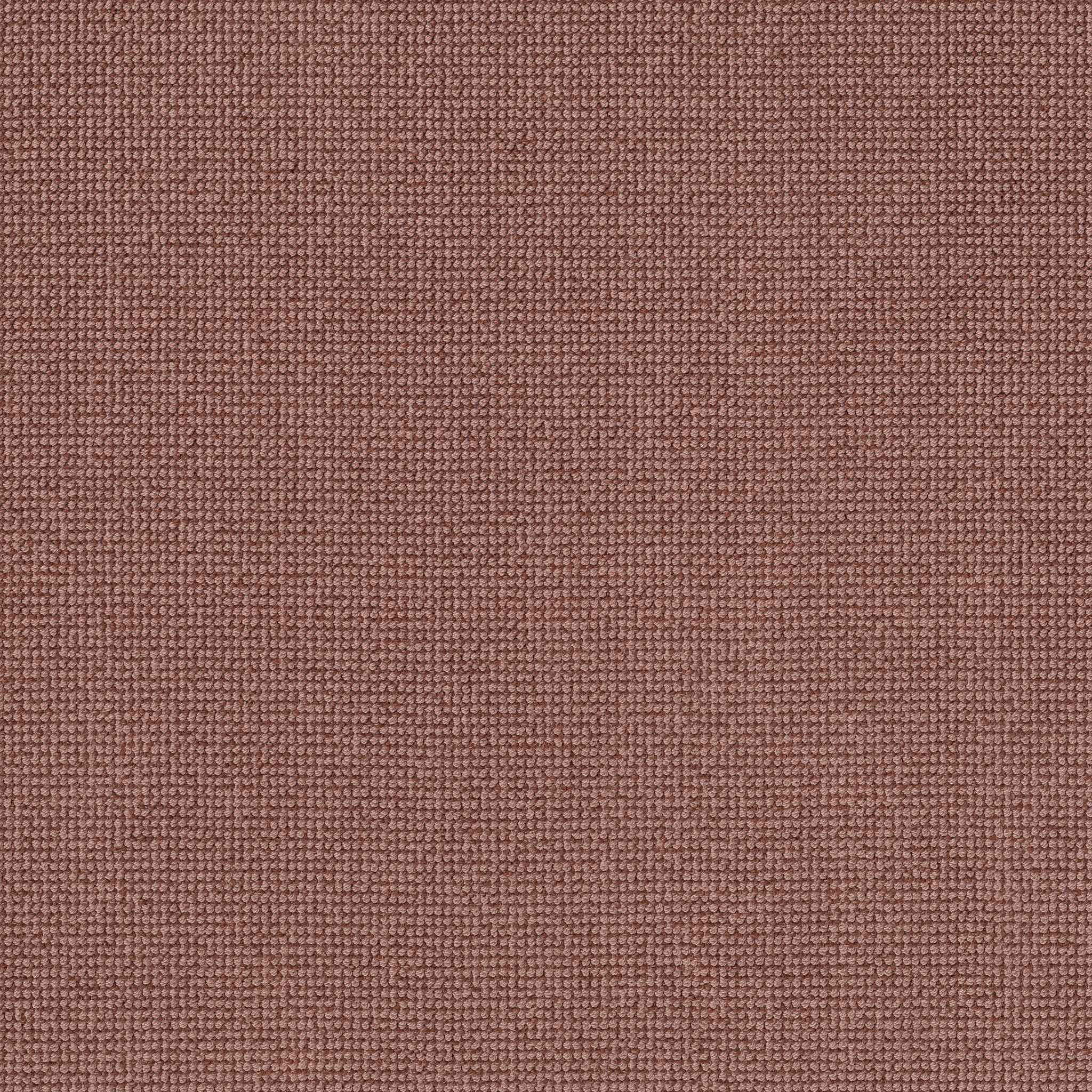 ALLURING COPPER MAIN