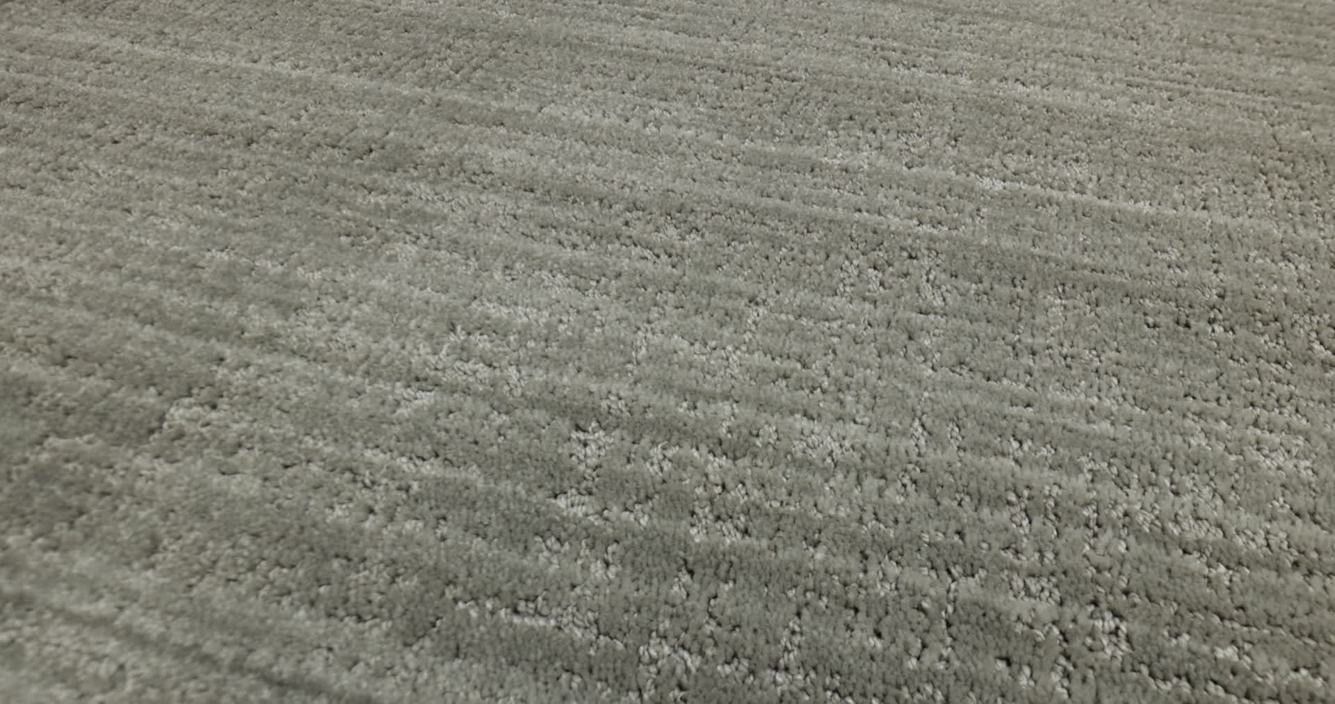 SHADY STROLL STONEHAVEN 360PROD