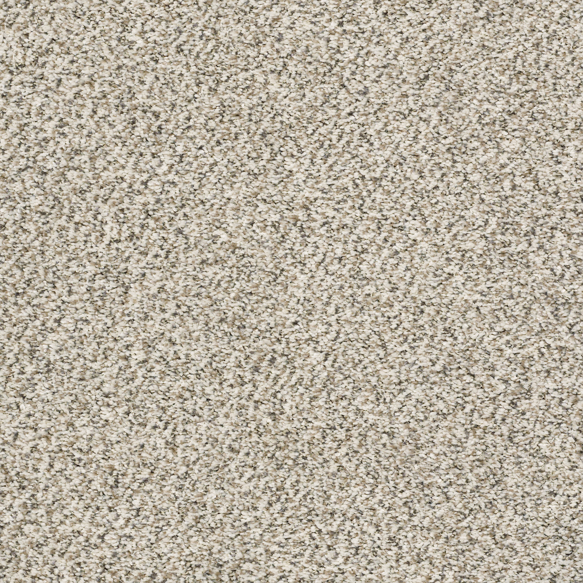 ALL SET II GOOSE FEATHER MAIN