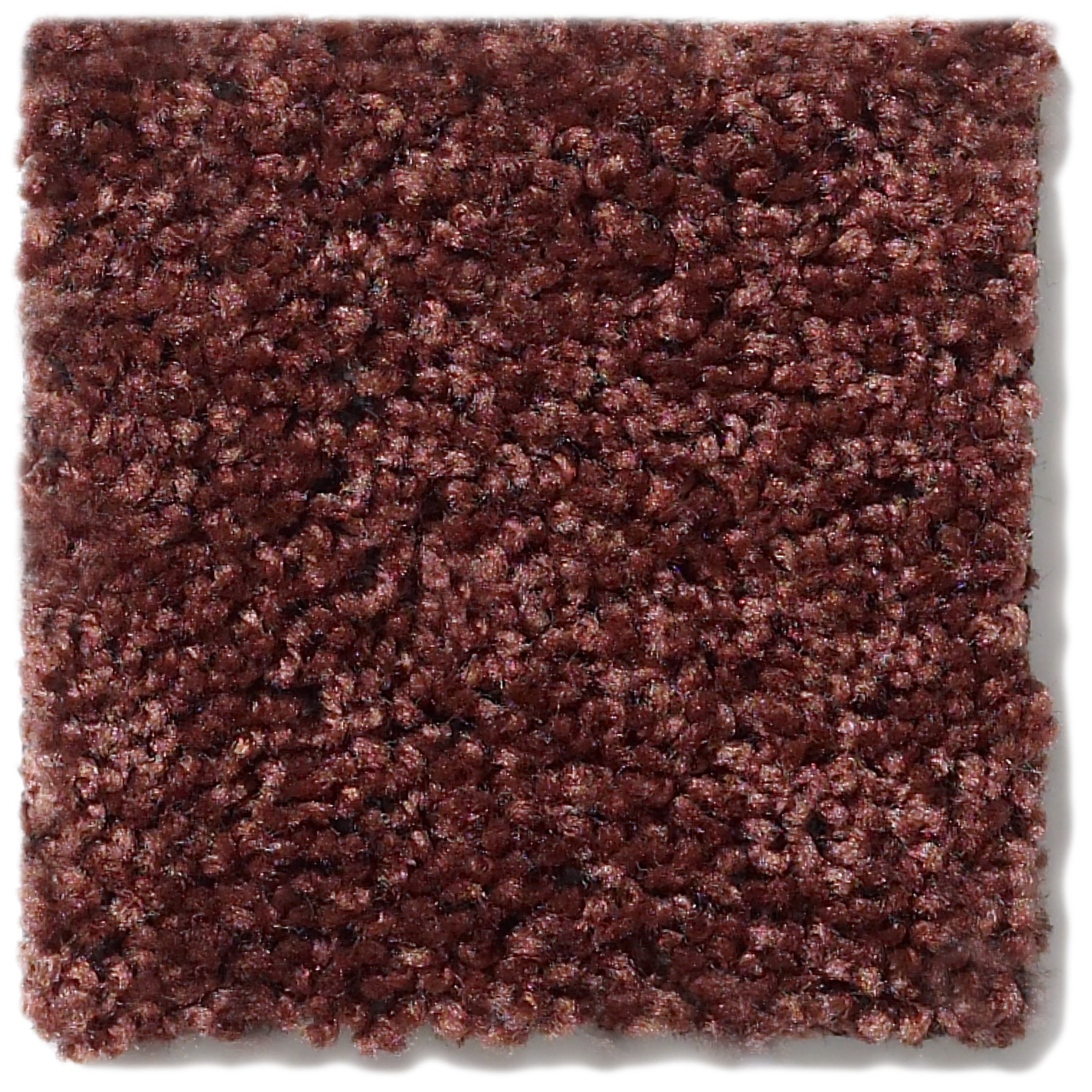 BRICEVILLE CLASSIC 15 COFFEE SWATCH