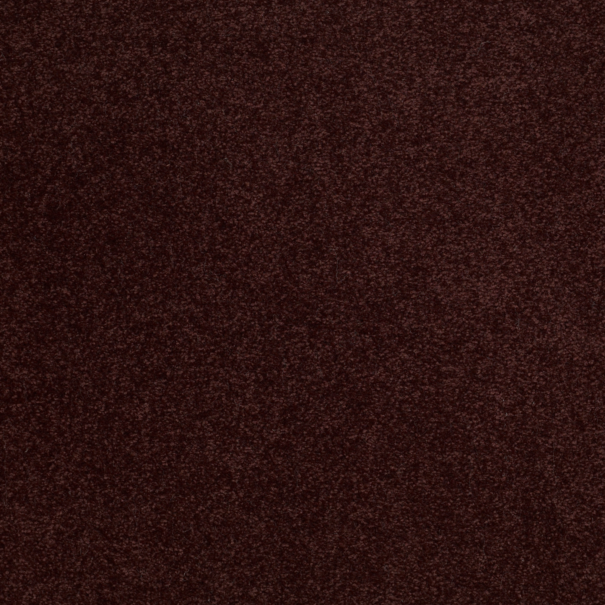 SHINGLE CREEK III 12' ROUGE RED MAIN