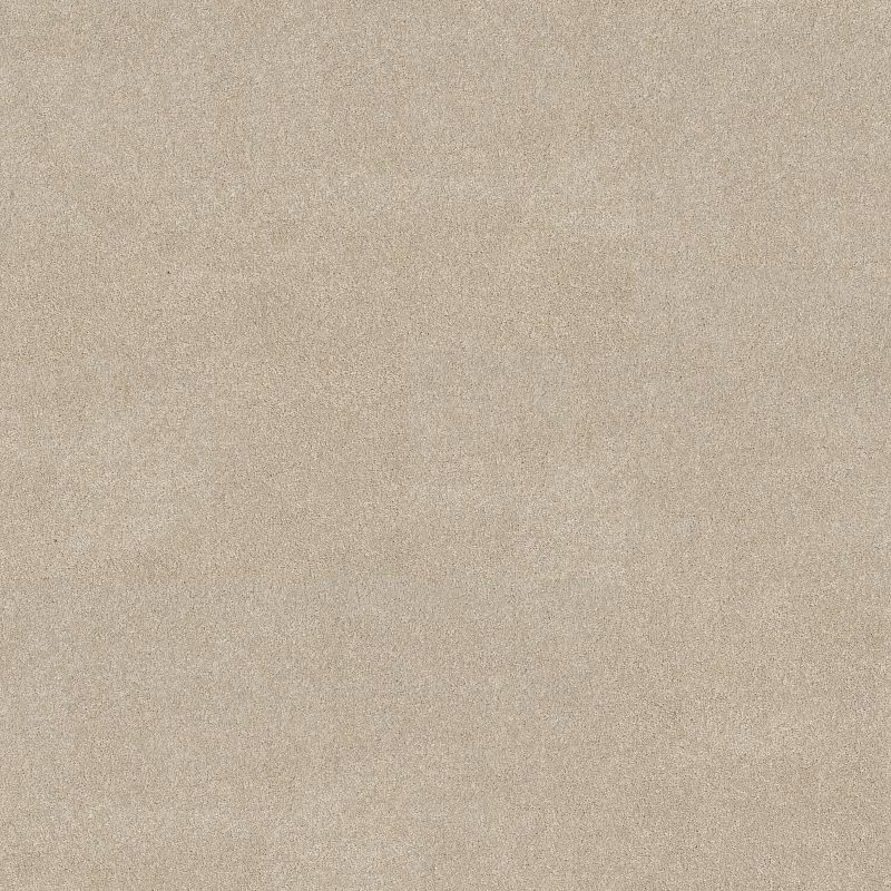 Vivid Touch II 5E874 Broadloom Carpet in Dune View color, made of 100% PET Polyester, 12ft wide, 125ft long
