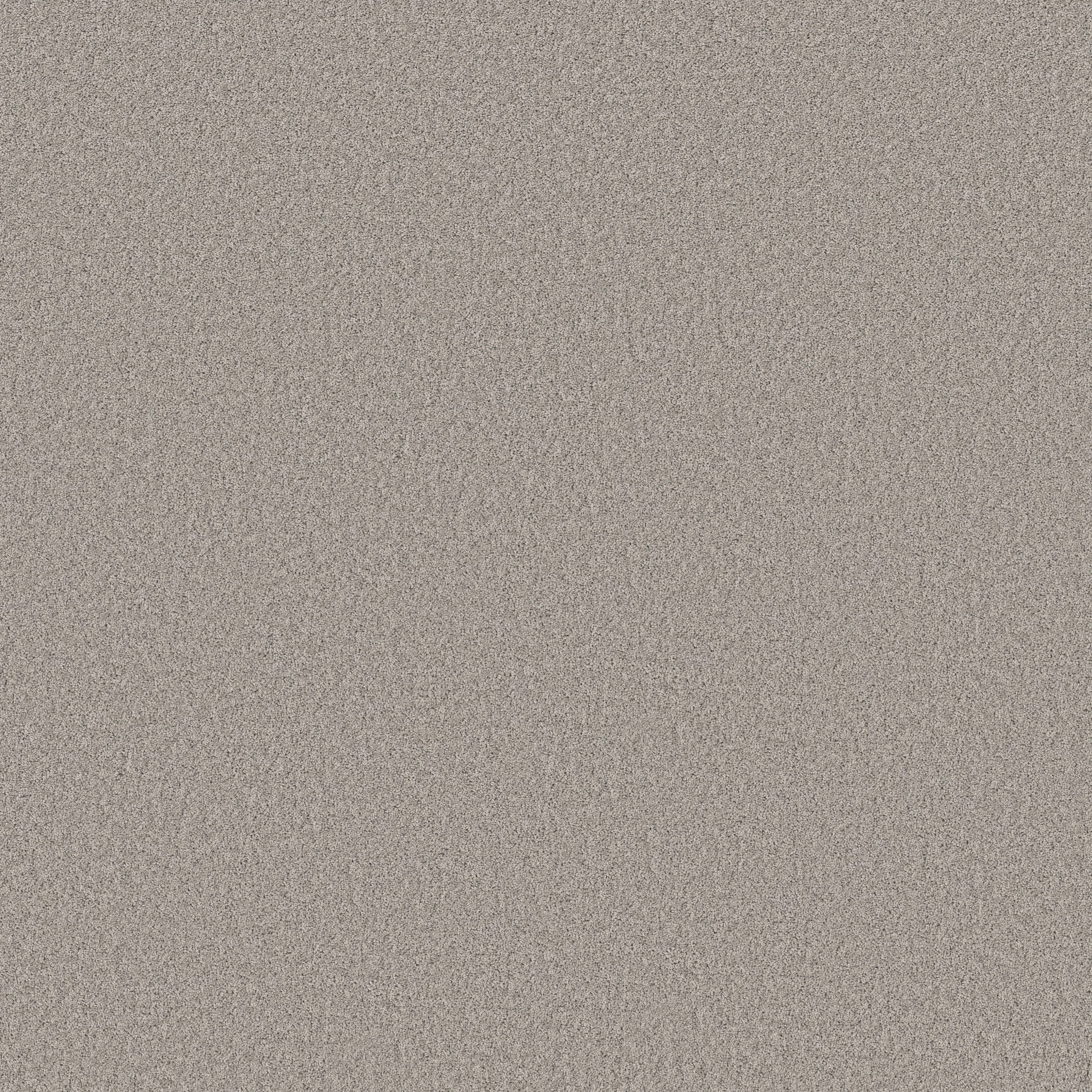 PURE AFFECTION S STILL GRAY MAIN