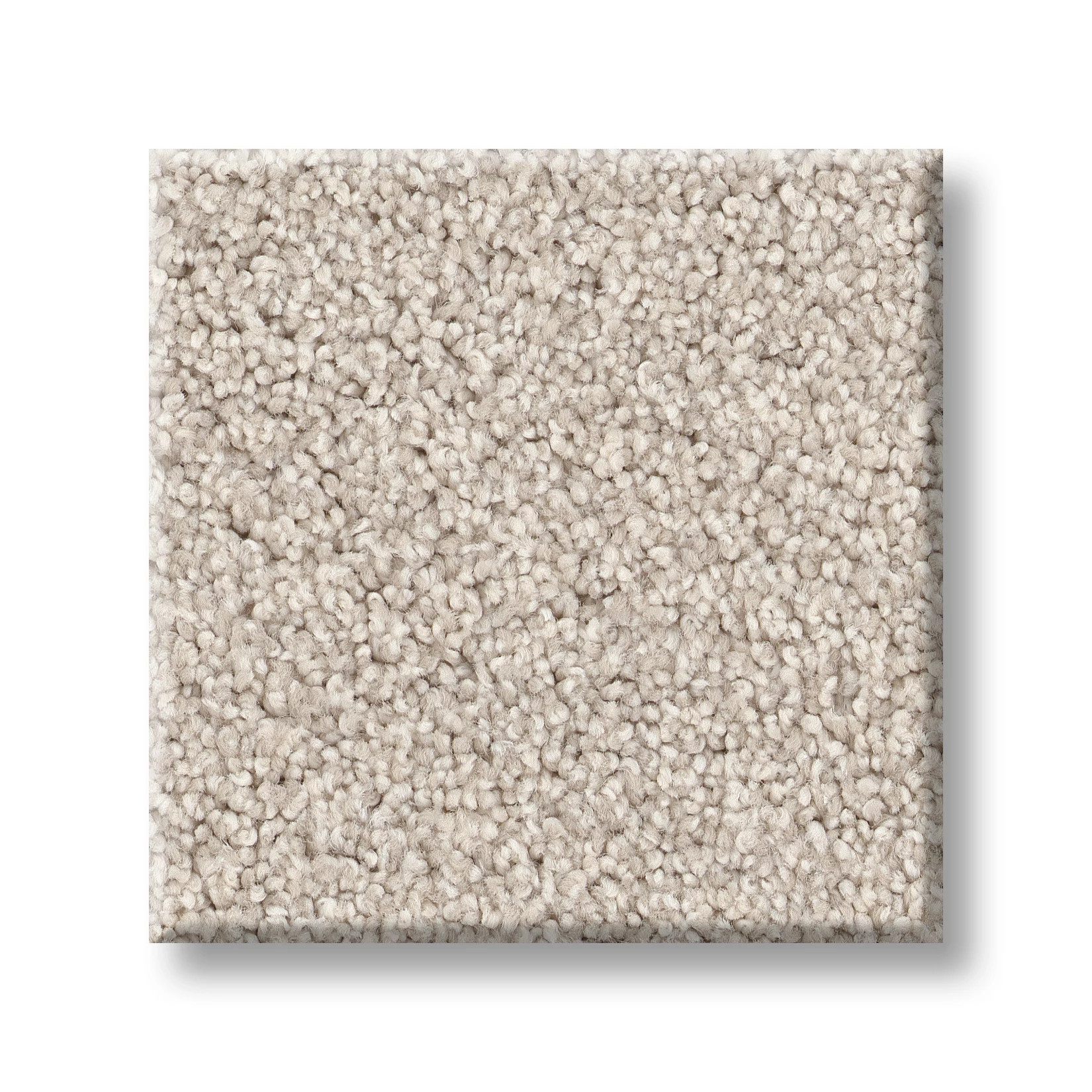 PURE COMFORT I CHAMPAGNE TOAST SWATCH