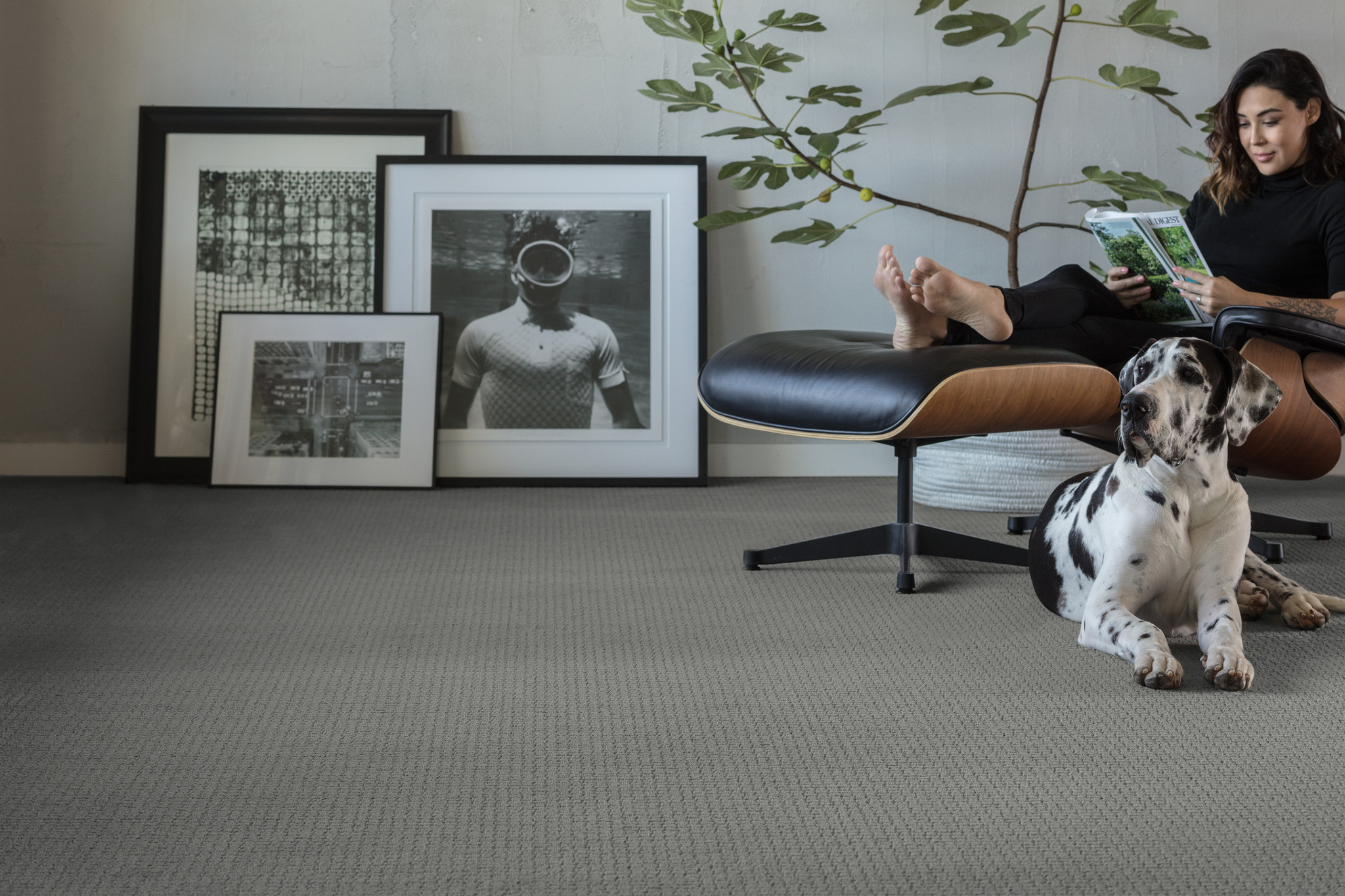 PAWSTRUCK PORTLAND StaticImage01