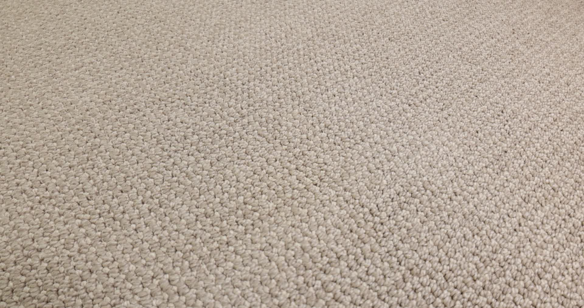 PURRFECTION POLAR SKY 360PROD