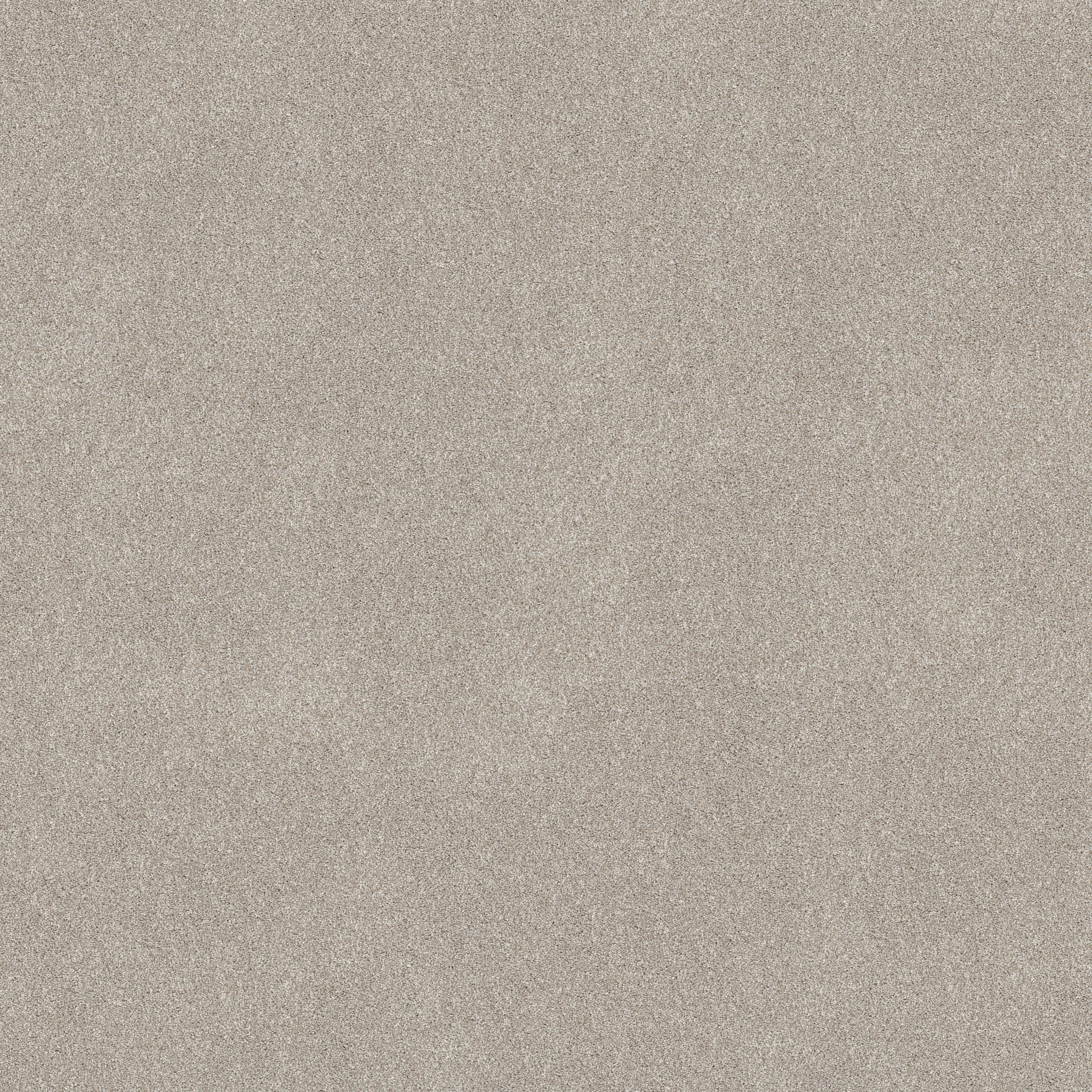 NEW MEMORIES T BEIGE MIST MAIN