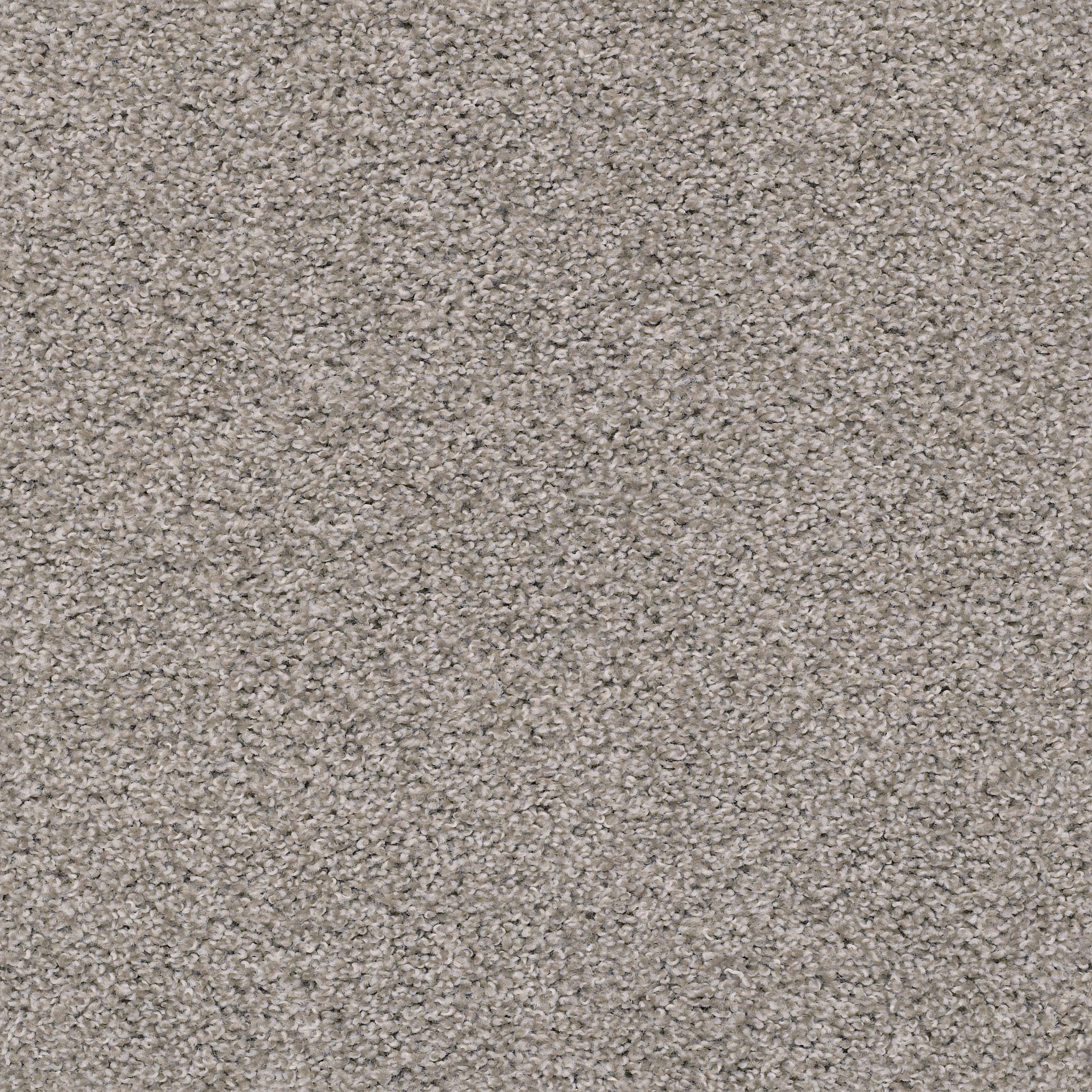 POISED GREAT GREIGE MAIN