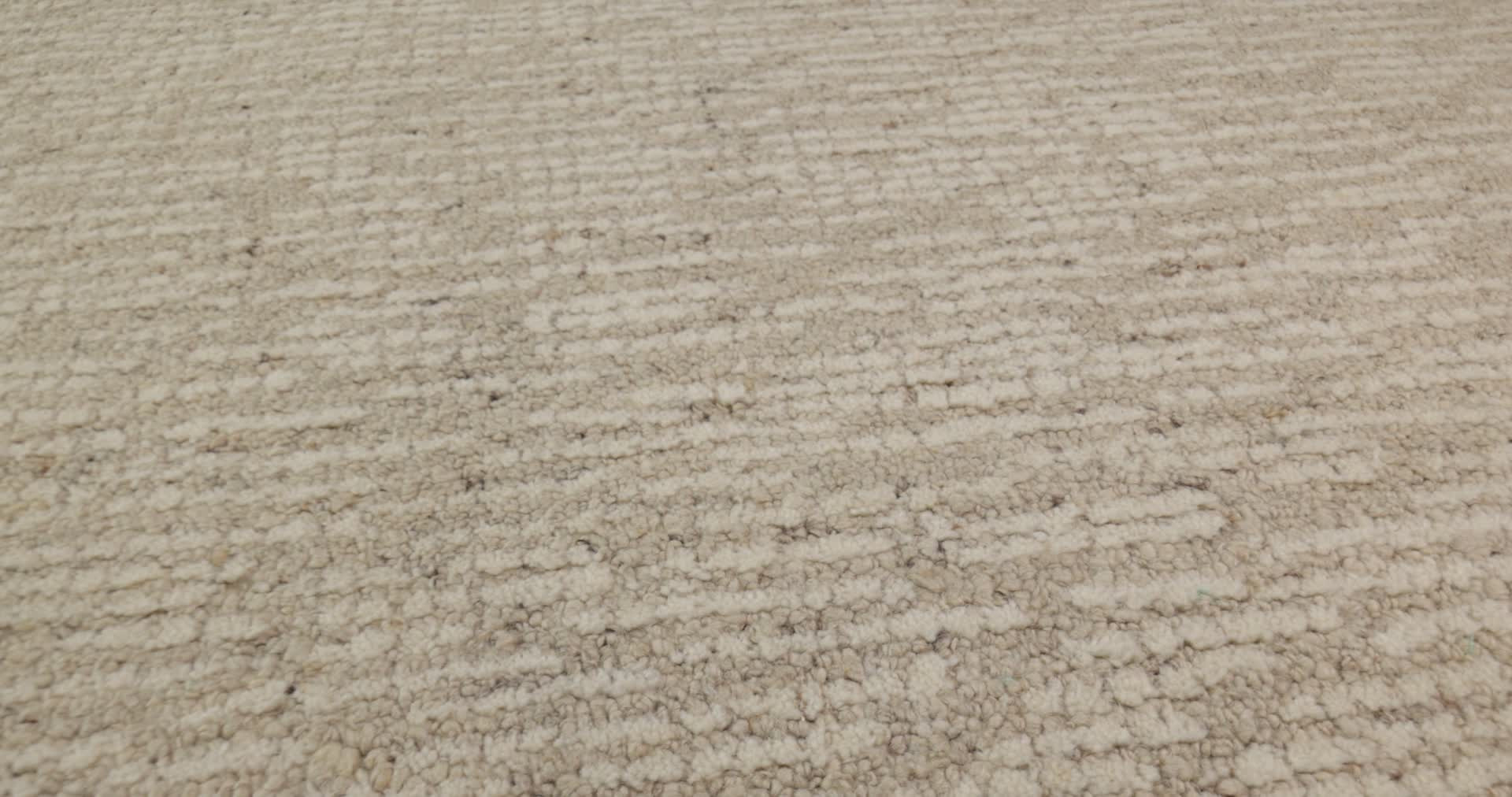 CURATOR GUARDIAN 360PROD