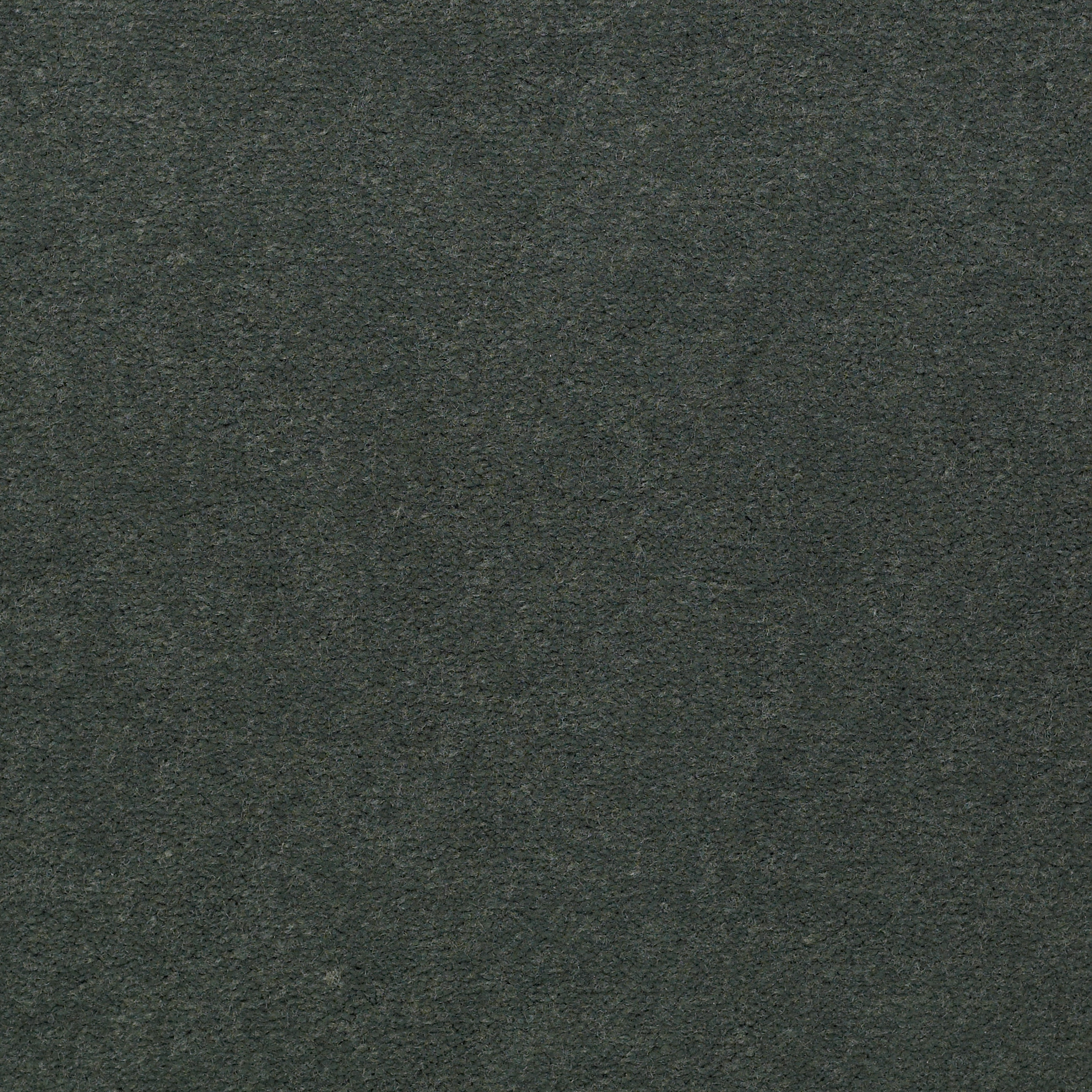 EMPHATIC-II-30-54255-HEDGE-56340-main-image