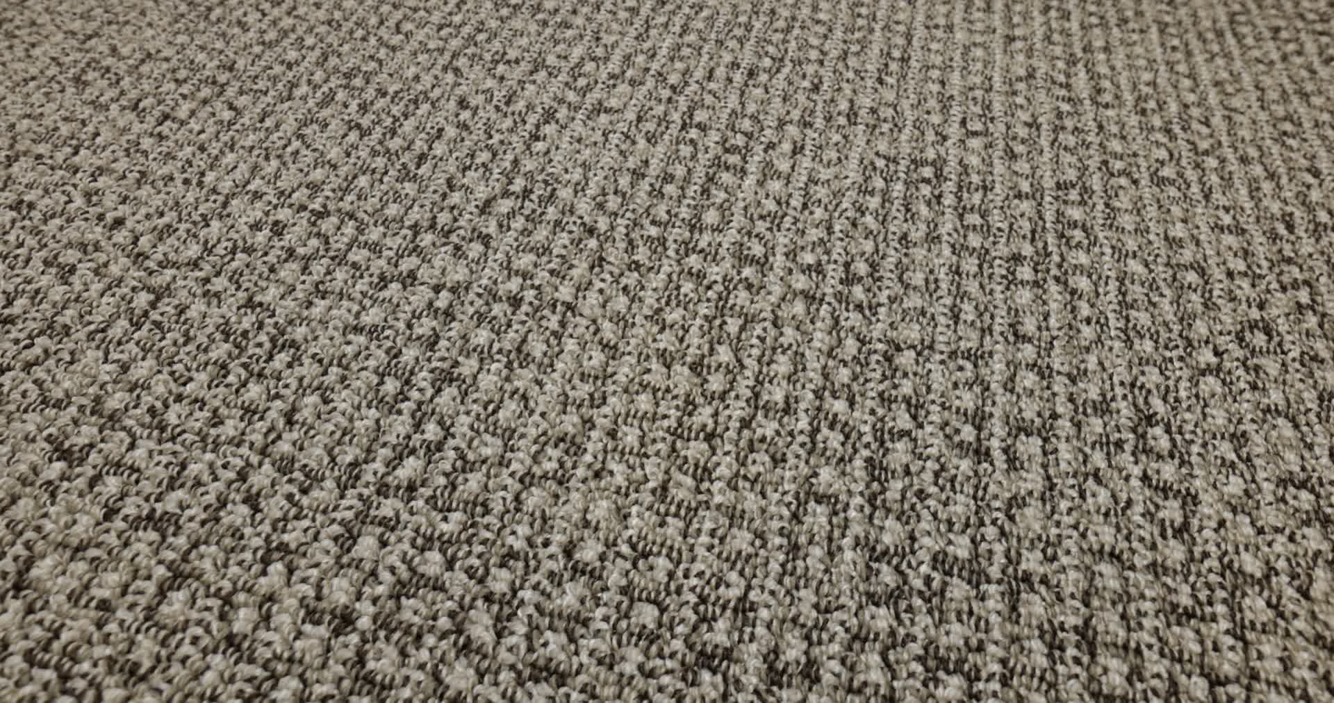 FETCH DESERT PALM 360PROD