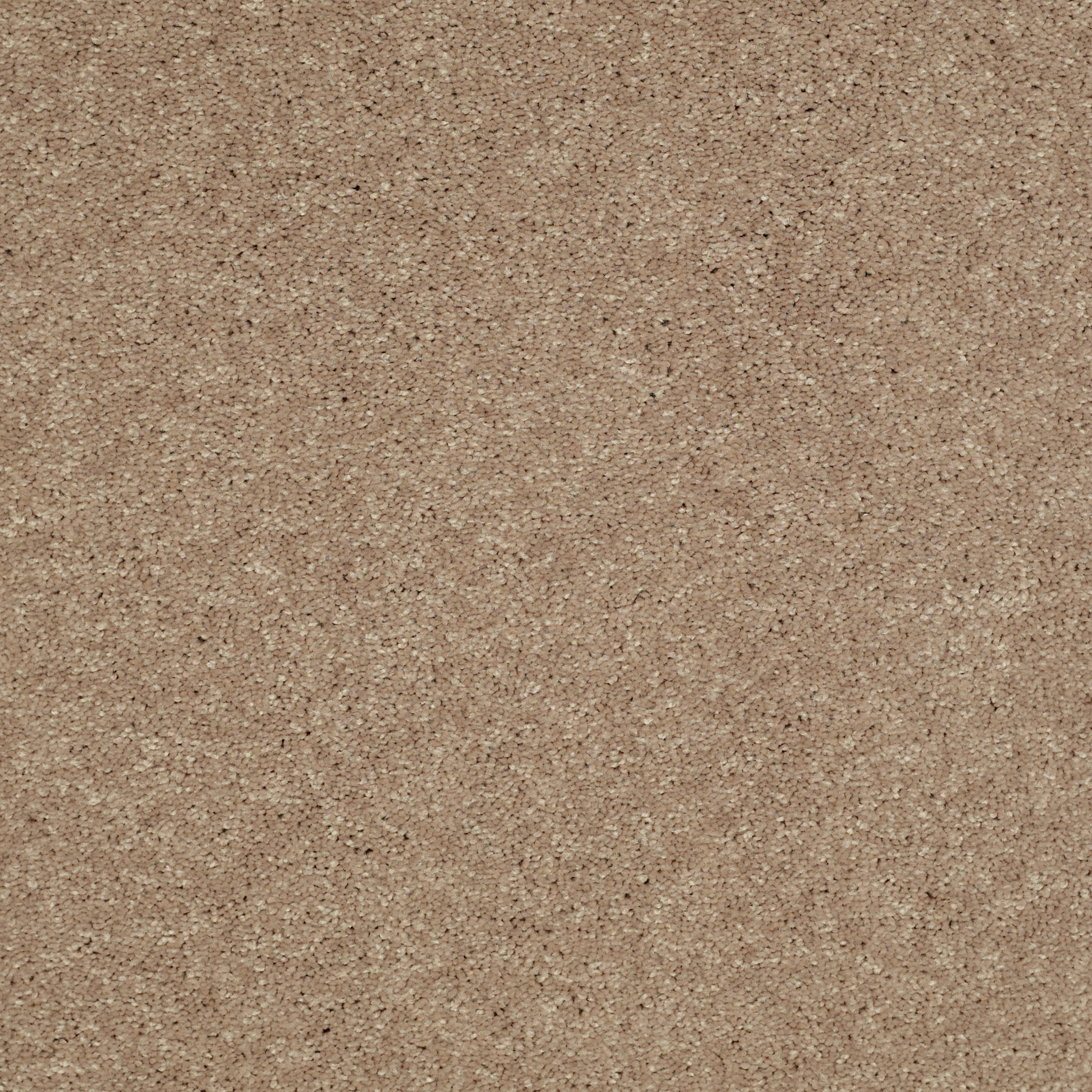 CHALLENGE ACCEPTED II 12 HONEYCOMB MAIN