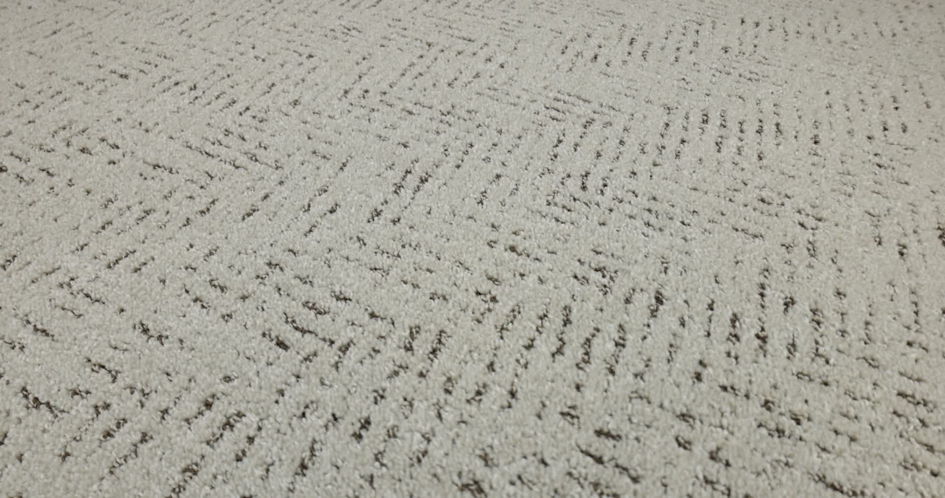 FAVOURED PATH RIVER BIRCH 360PROD