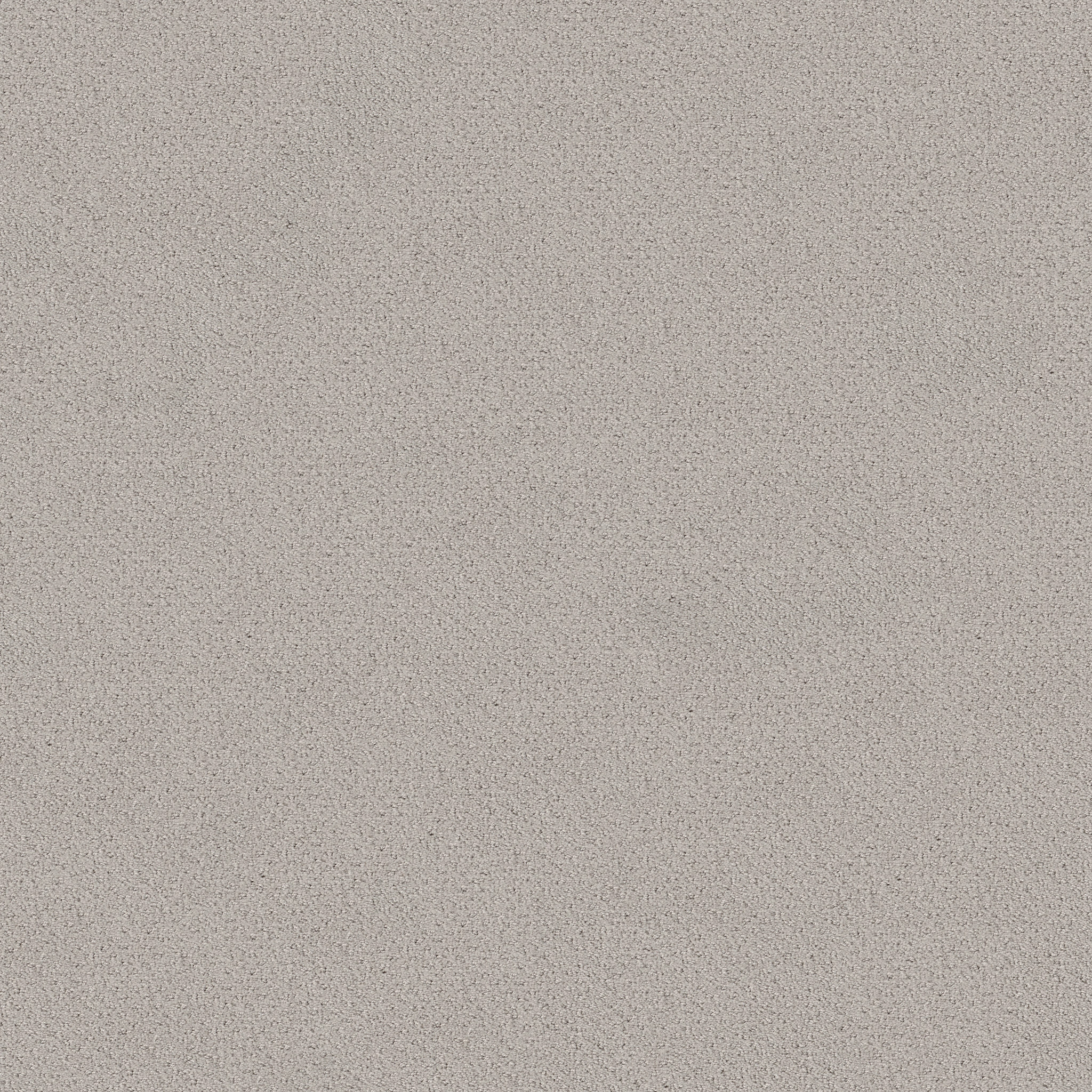 MAINSTAY SPLIT SEDIMENT MAIN